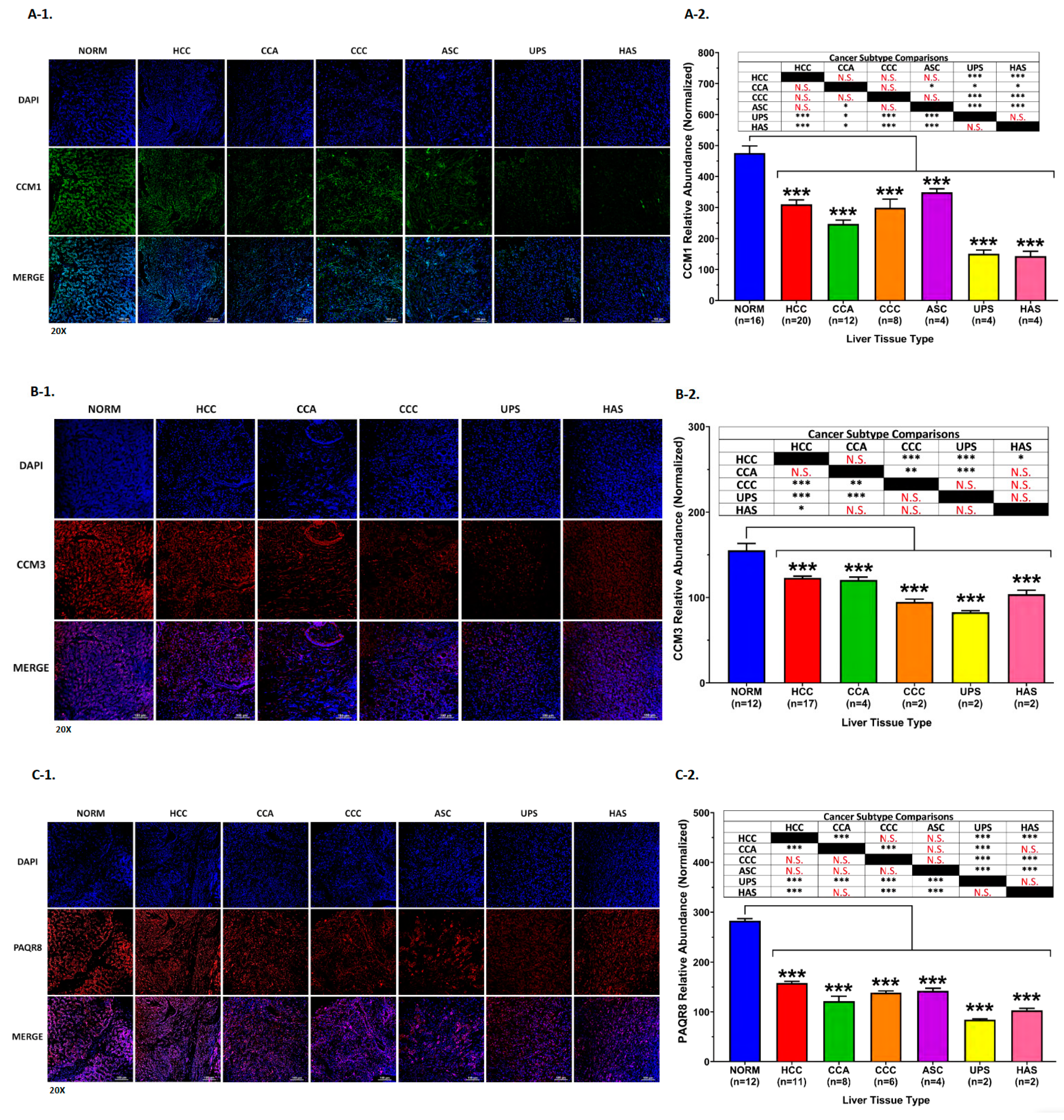 Diagnostics 13 01012 g004a Diagnostics 13 01012 g004a
