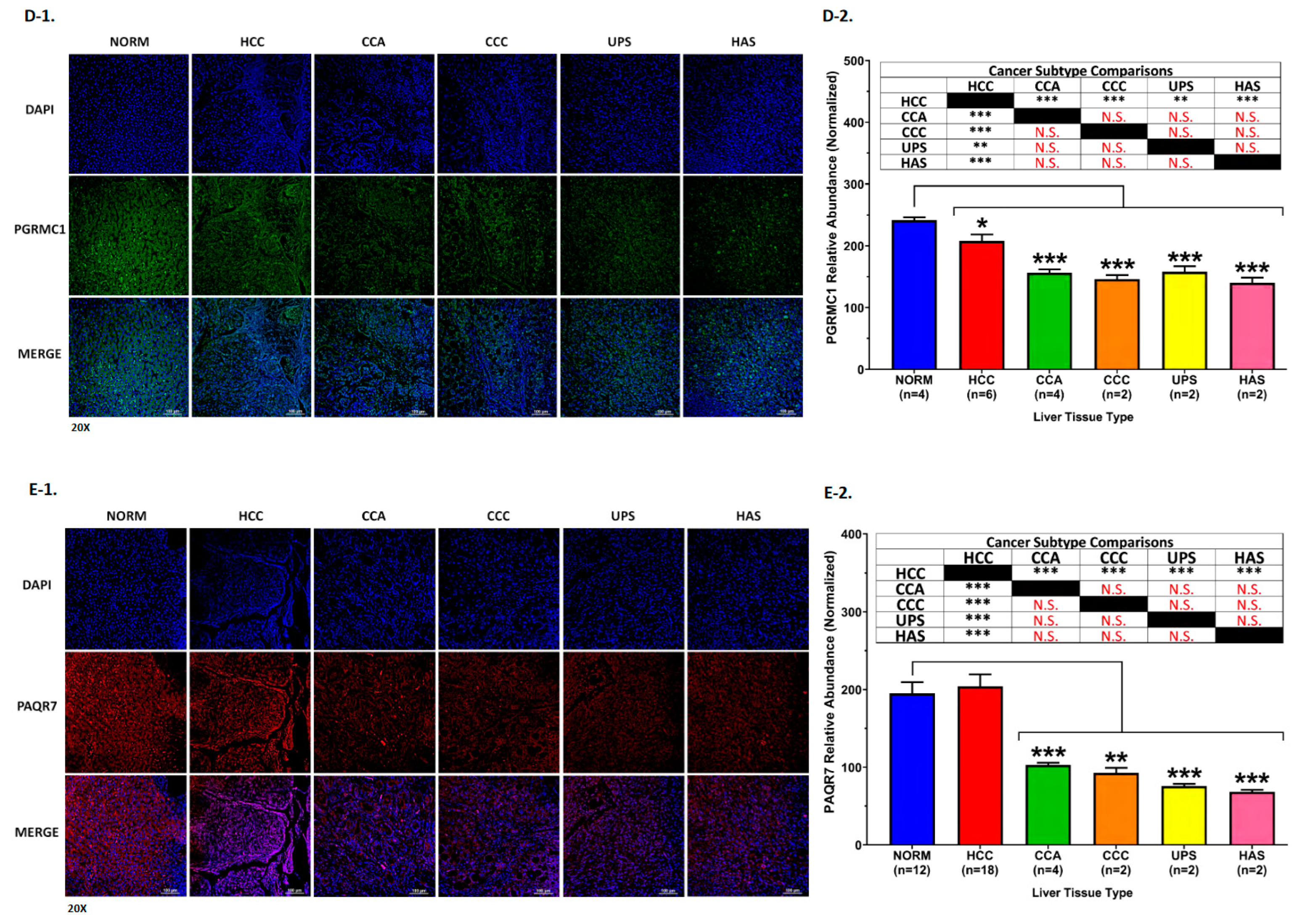 Diagnostics 13 01012 g004b Diagnostics 13 01012 g004b