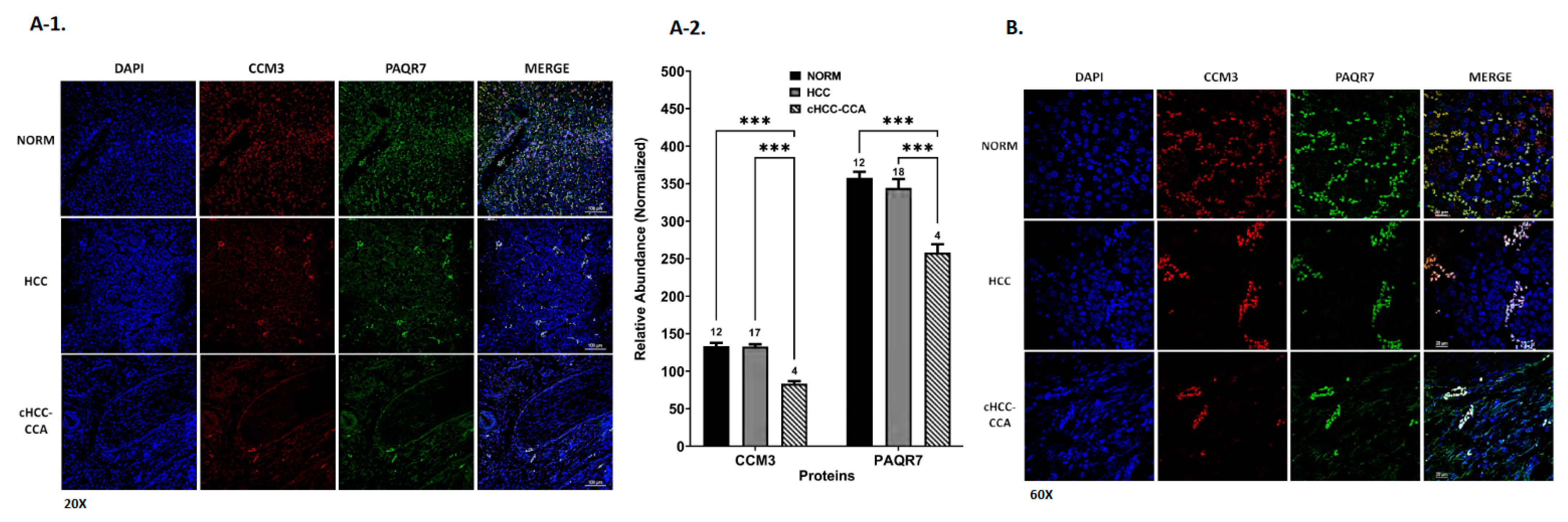 Diagnostics 13 01012 g005 Diagnostics 13 01012 g005