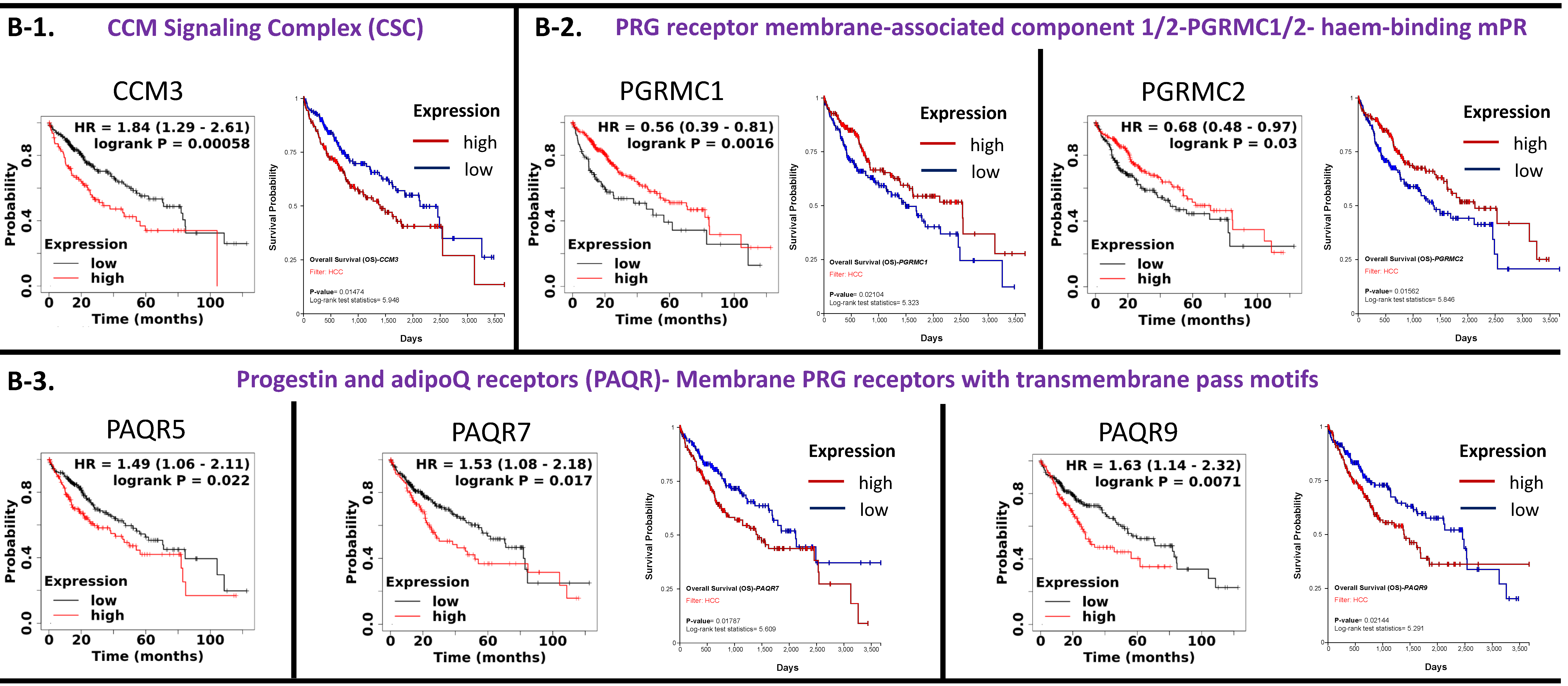 Diagnostics 13 01012 g006b Diagnostics 13 01012 g006b