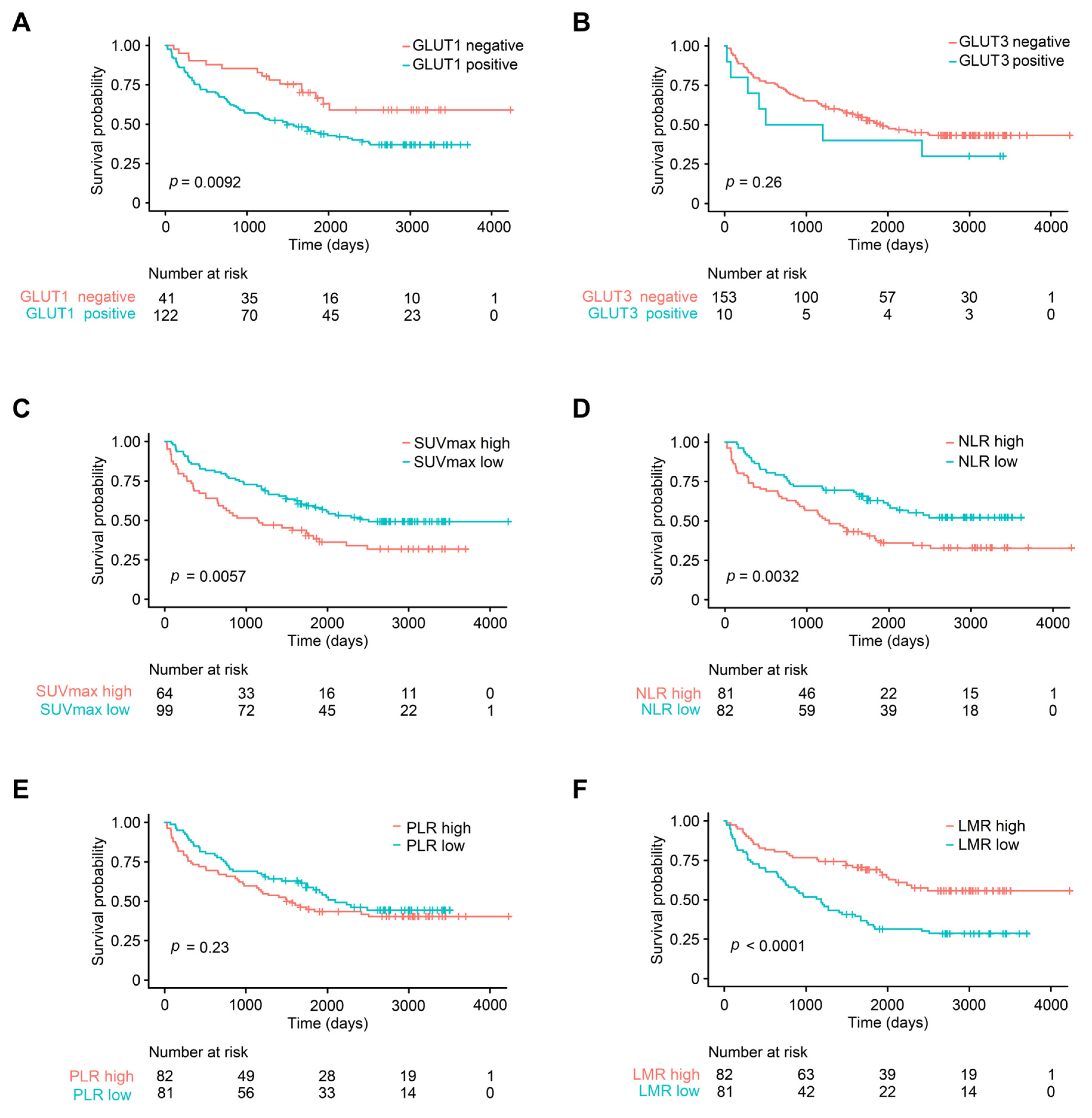 Diagnostics 13 01013 g002 Diagnostics 13 01013 g002