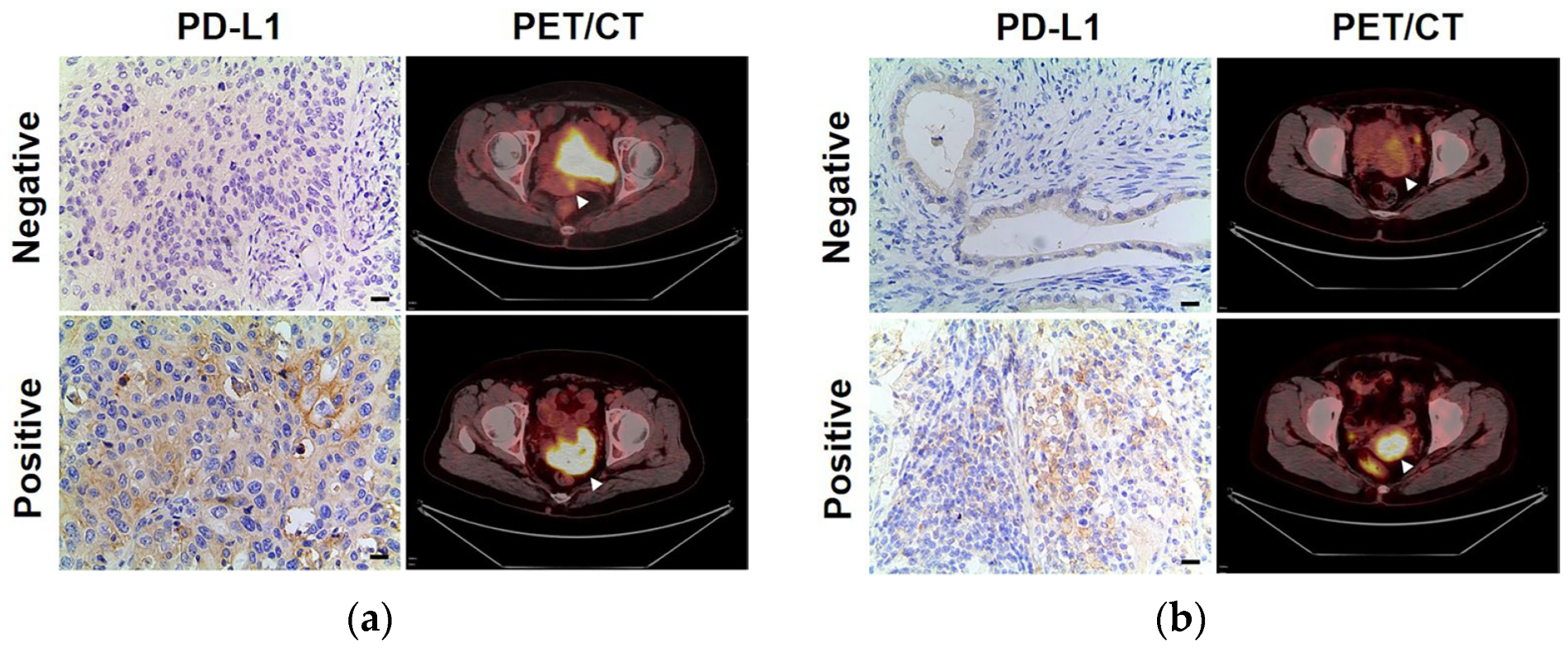 Diagnostics 13 01015 g003