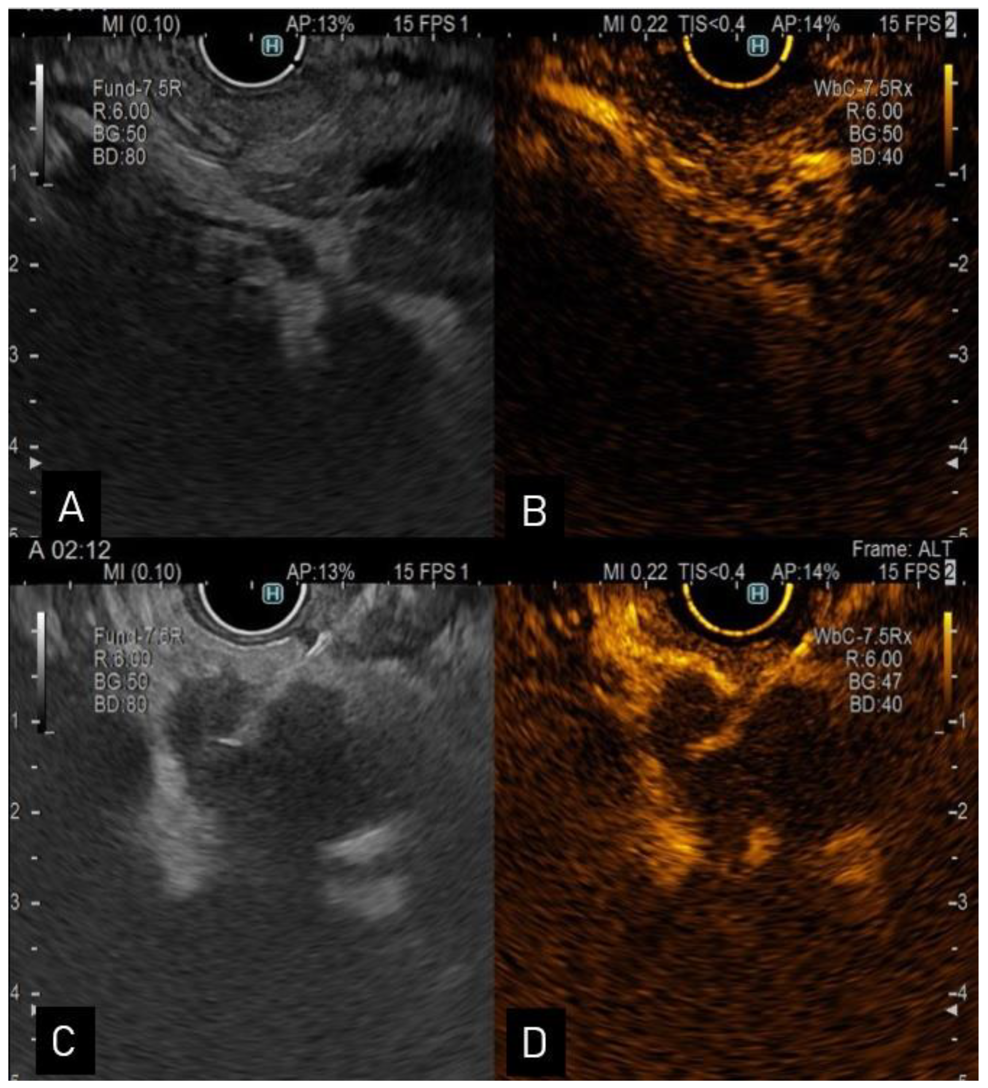 Diagnostics 13 01023 g001