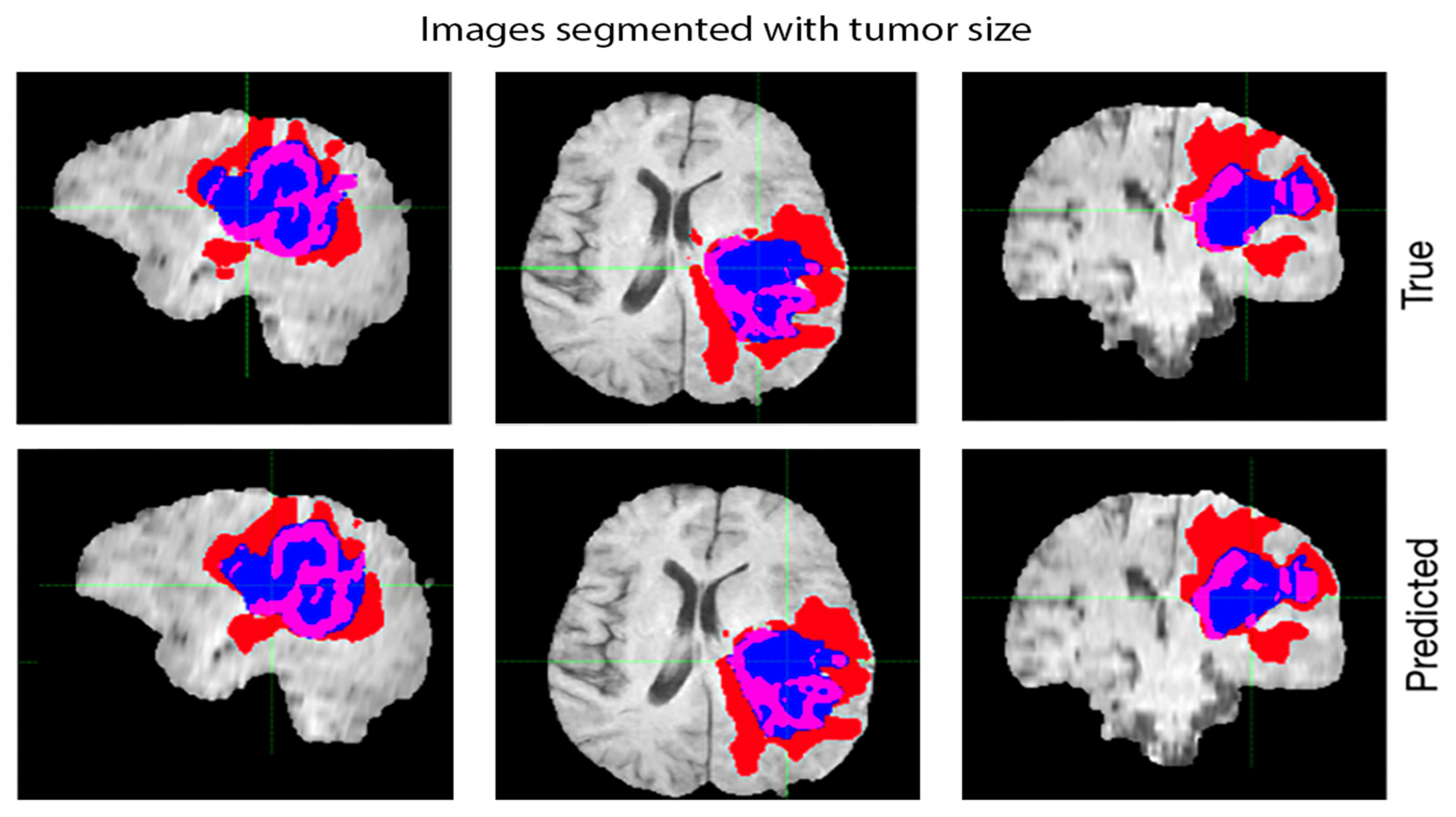 Diagnostics 13 01025 g007