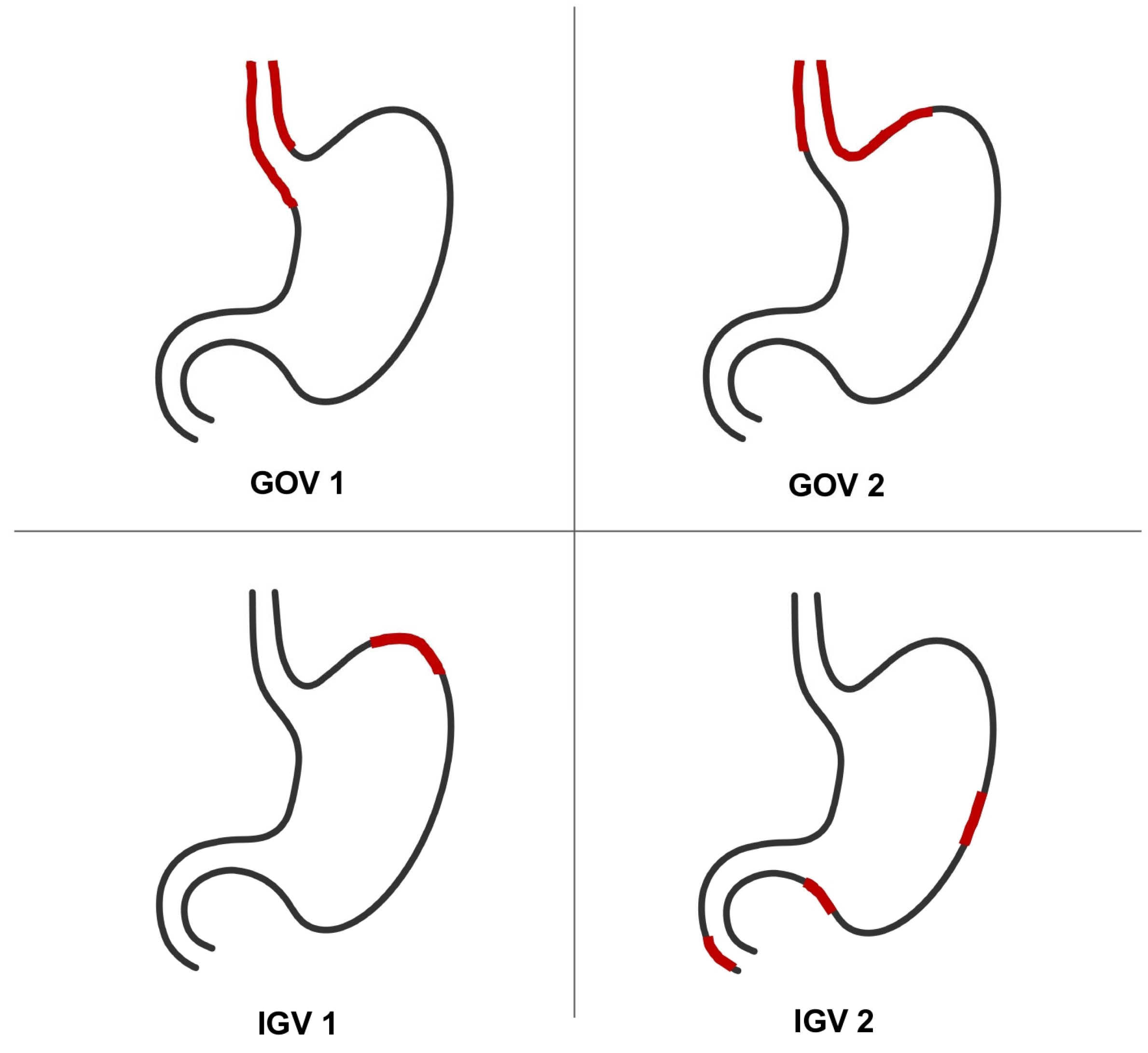 Diagnostics 13 01031 g002