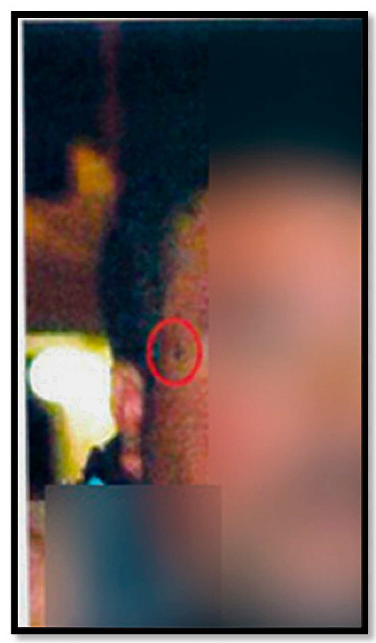 Diagnostics 13 01033 g002