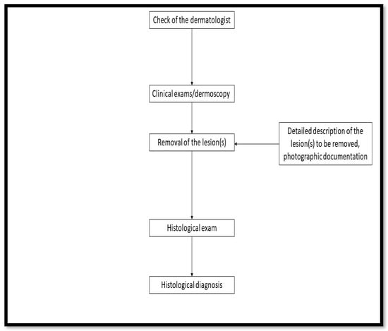 Diagnostics 13 01033 g004
