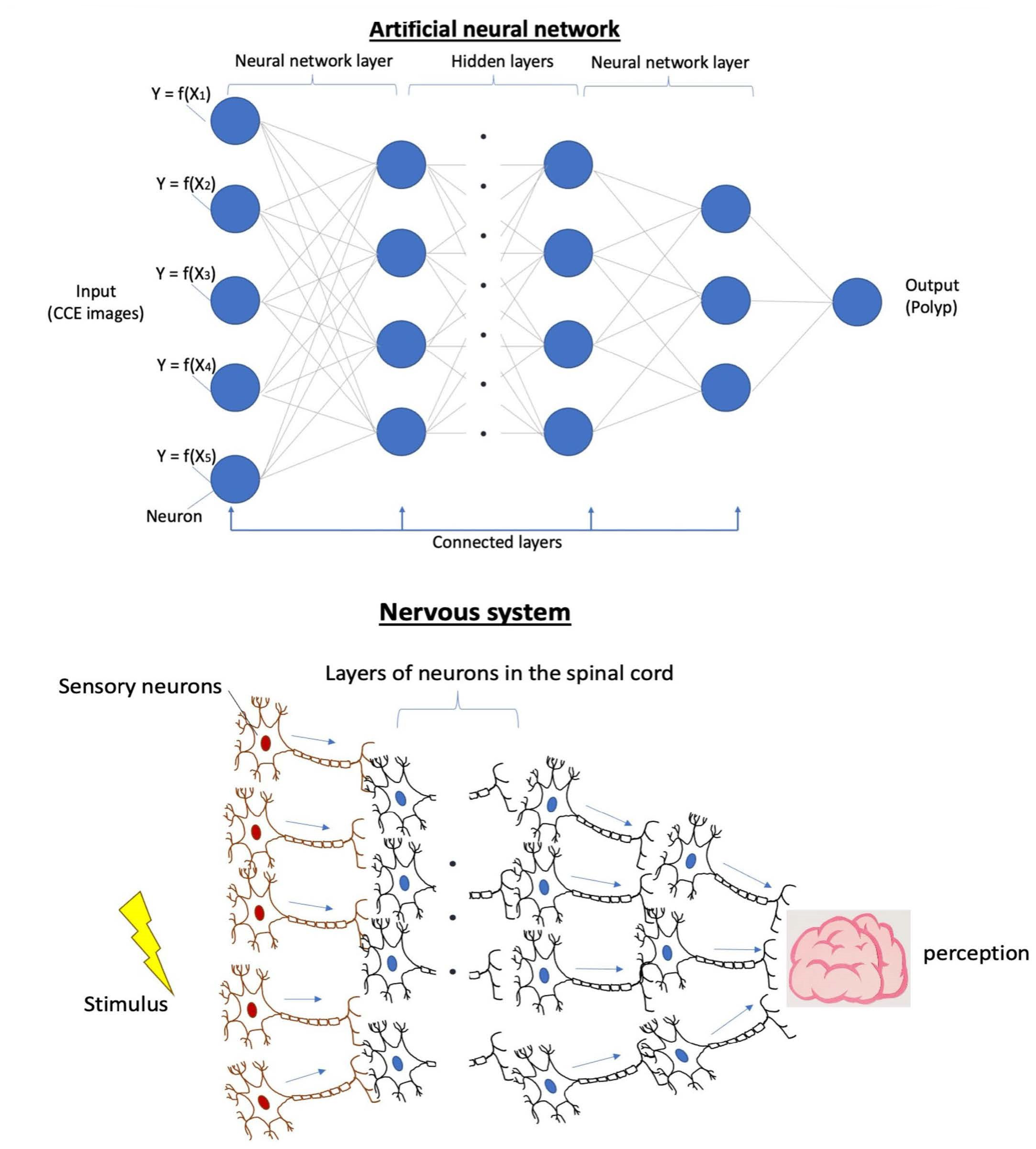 Diagnostics 13 01038 g002