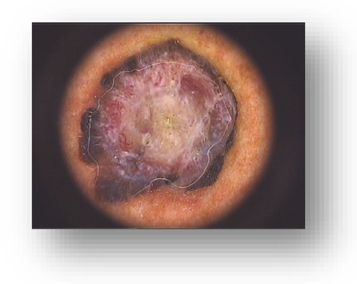 Diagnostics 13 01046 g002