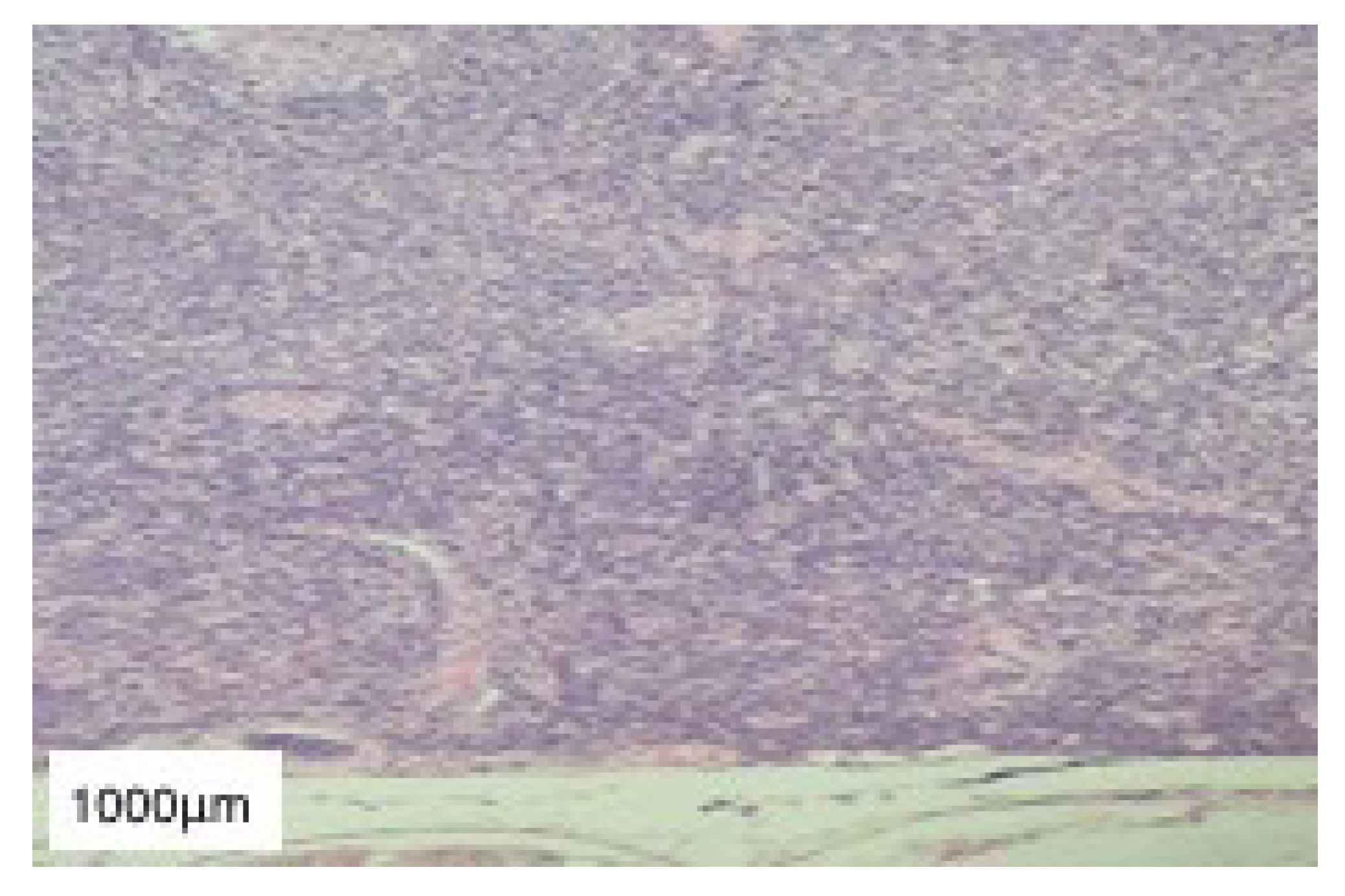 Diagnostics 13 01046 g006