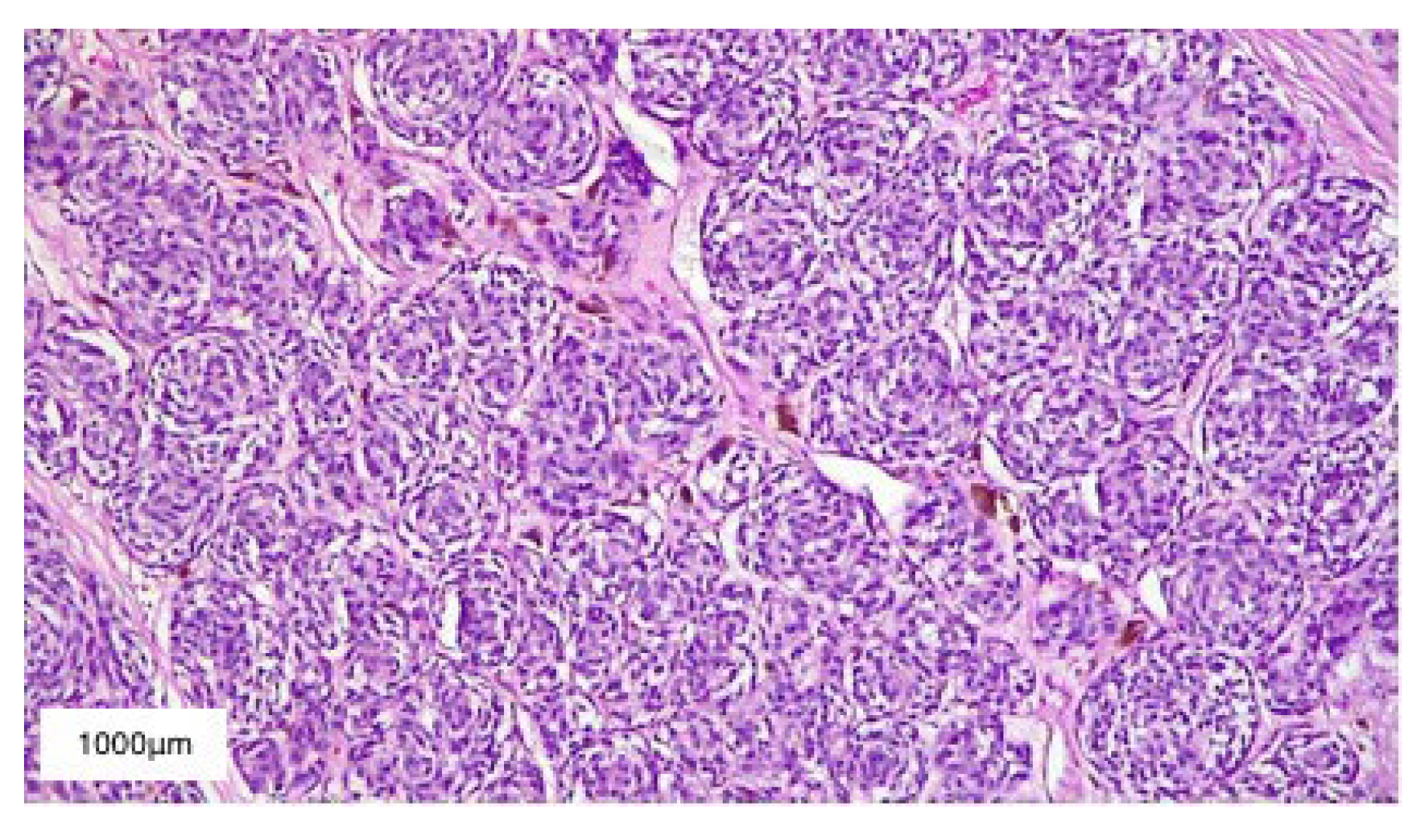 Diagnostics 13 01046 g009