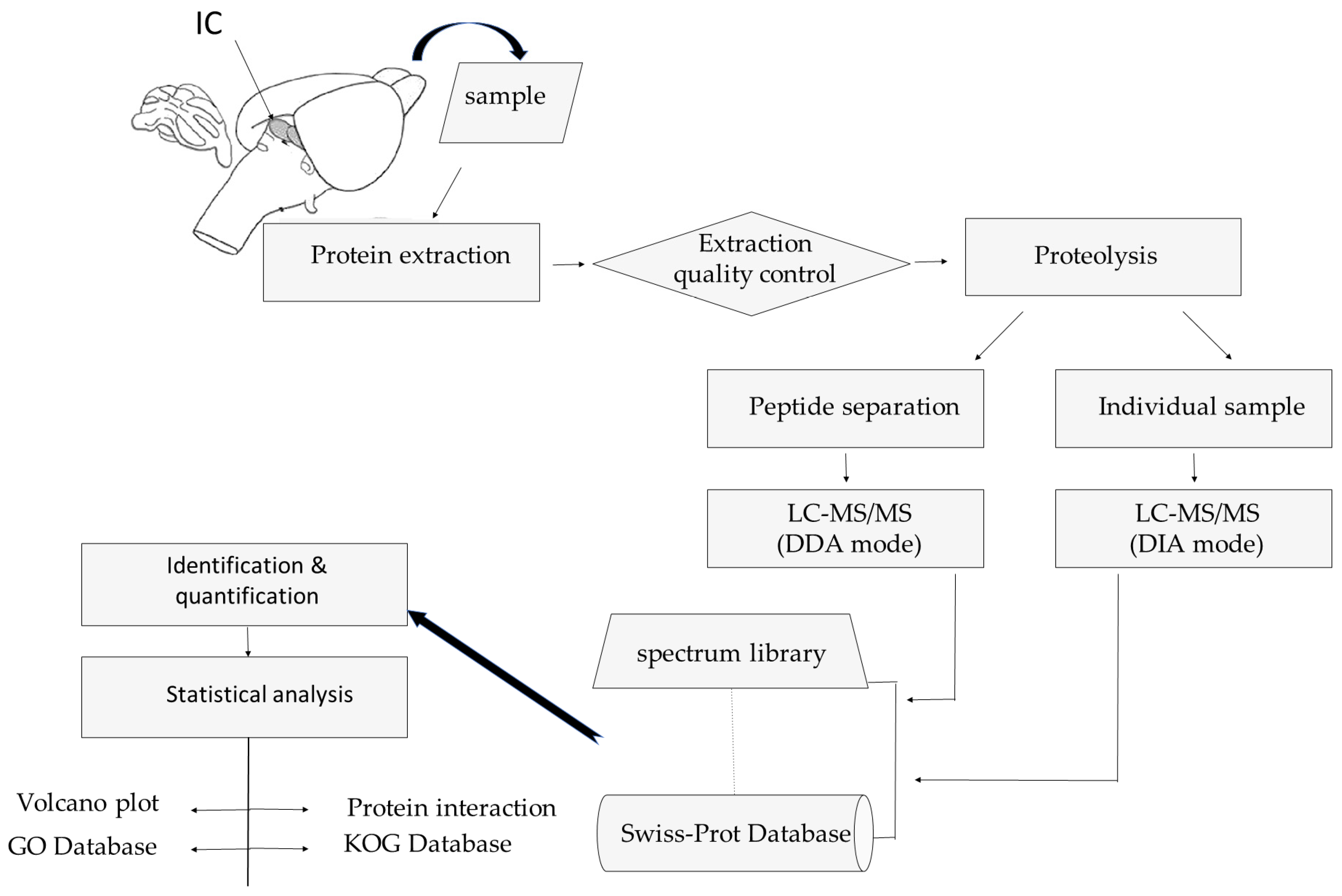 Diagnostics 13 01048 g001