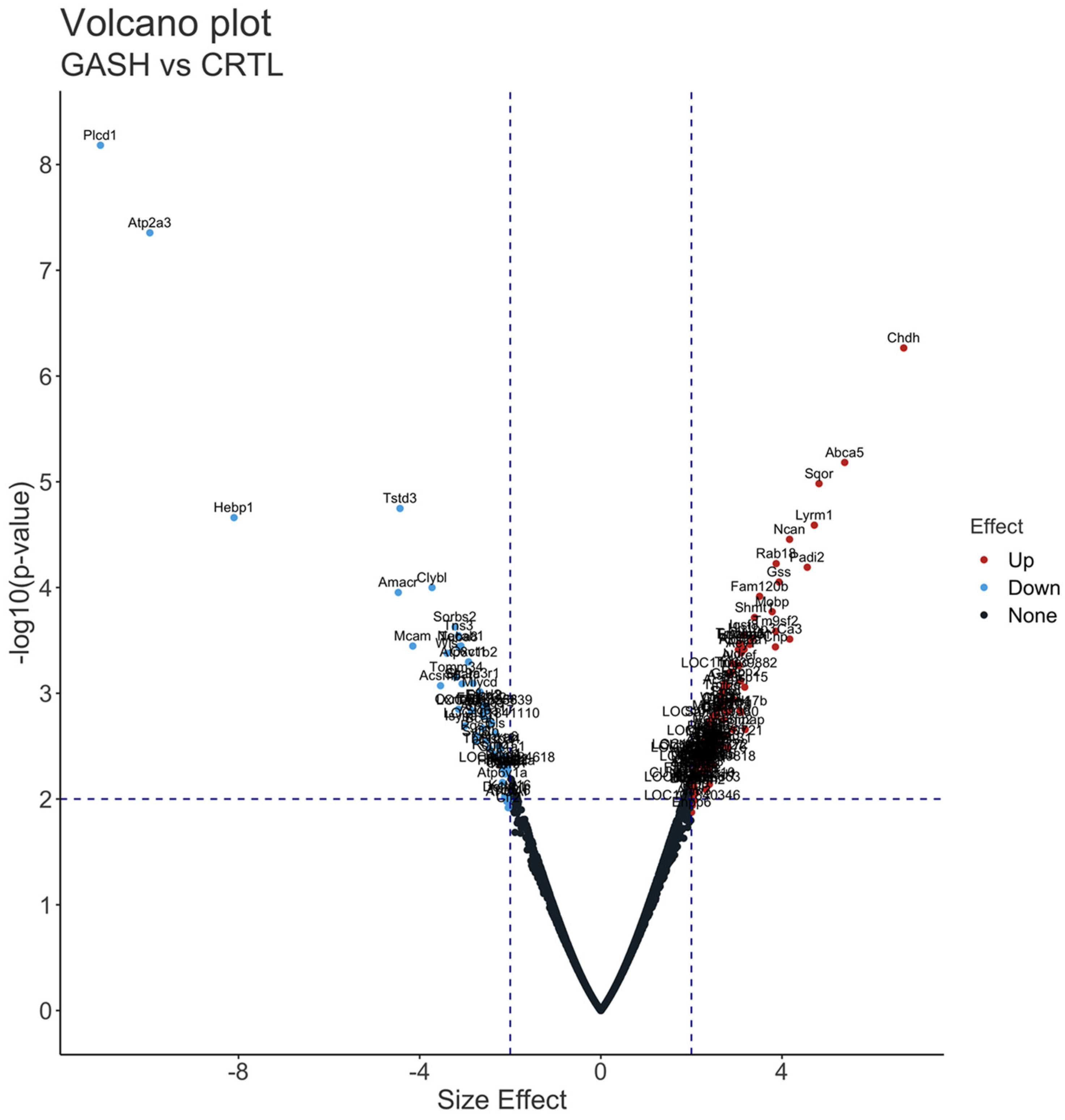 Diagnostics 13 01048 g003