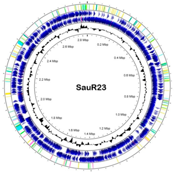 Diagnostics 13 01050 i002 Diagnostics 13 01050 i002