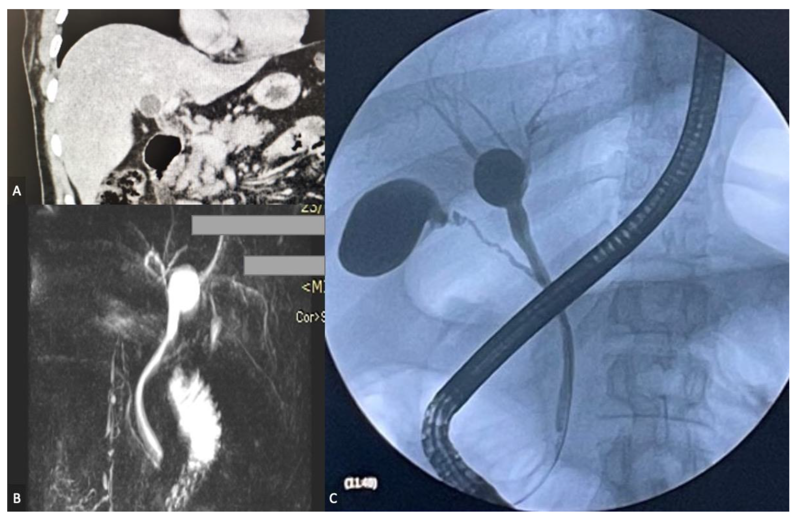 Diagnostics 13 01059 g002