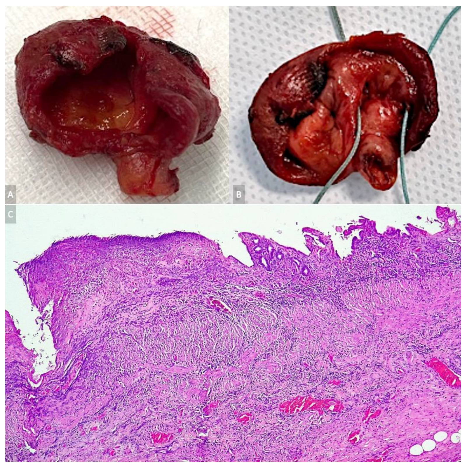Diagnostics 13 01059 g004