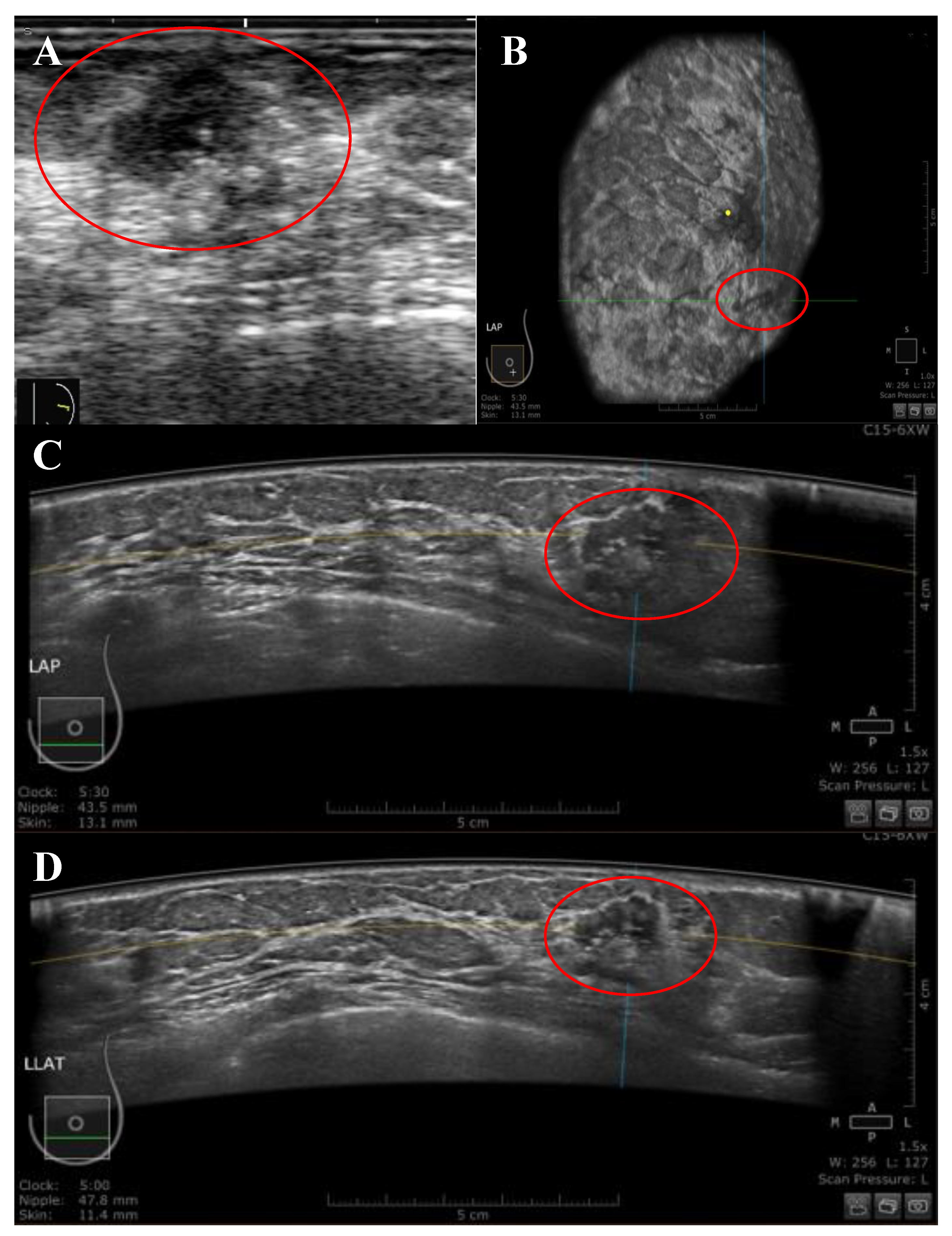 Diagnostics 13 01065 g002