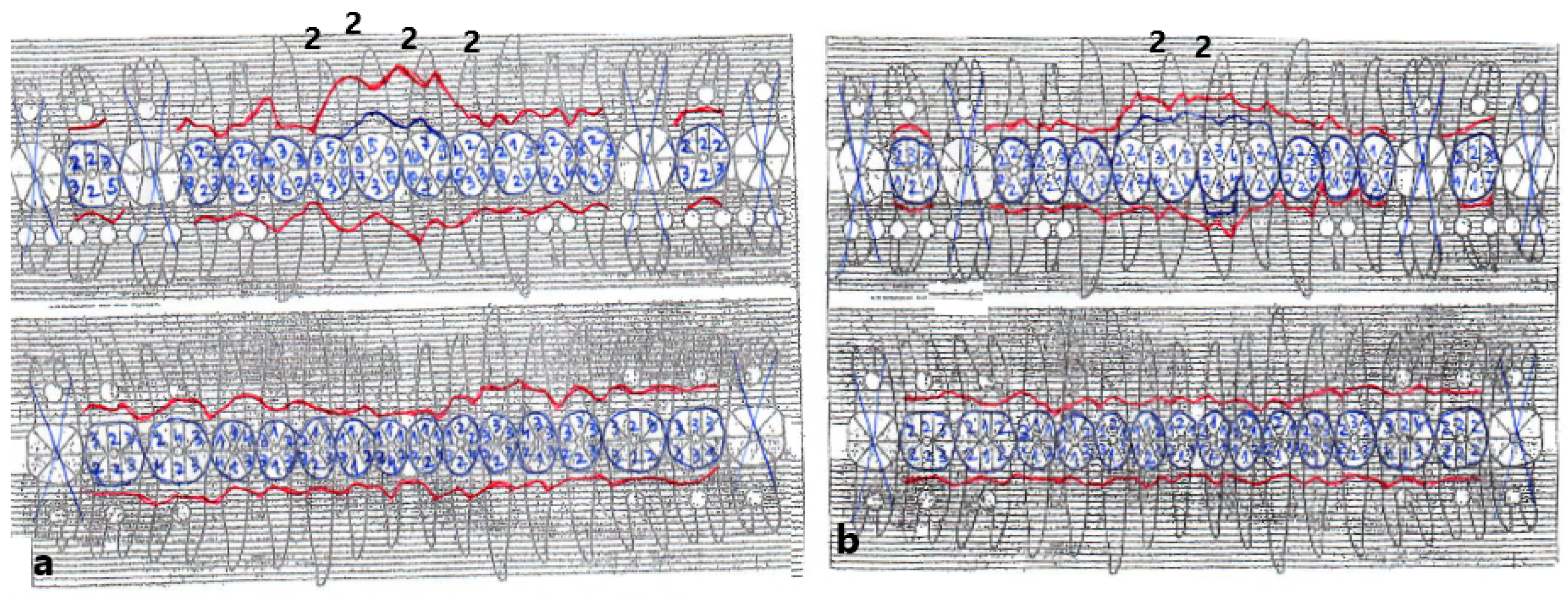 Diagnostics 13 01077 g002
