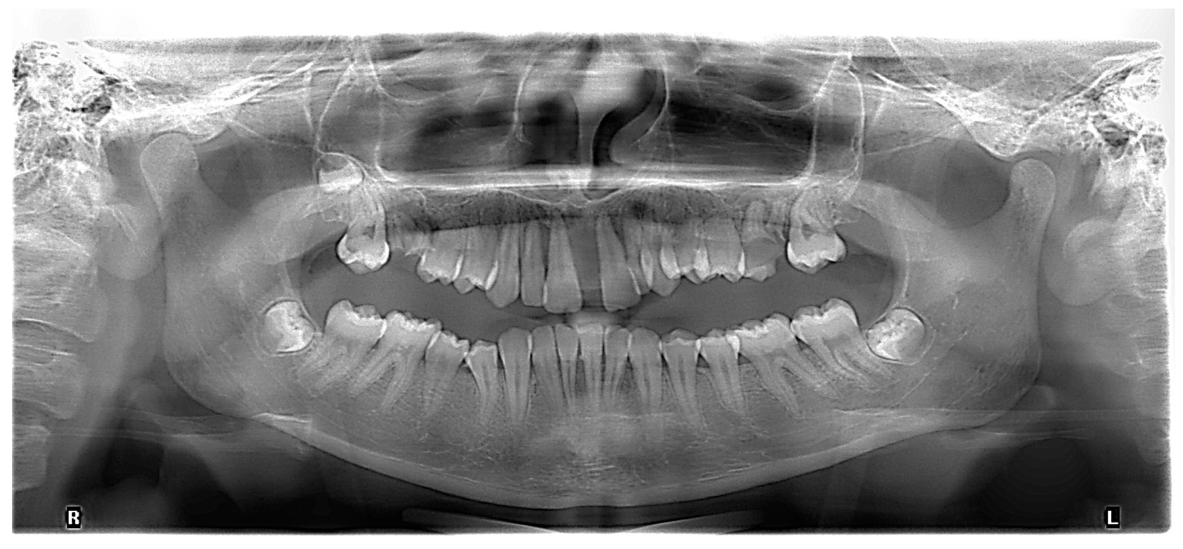 Diagnostics 13 01077 g003