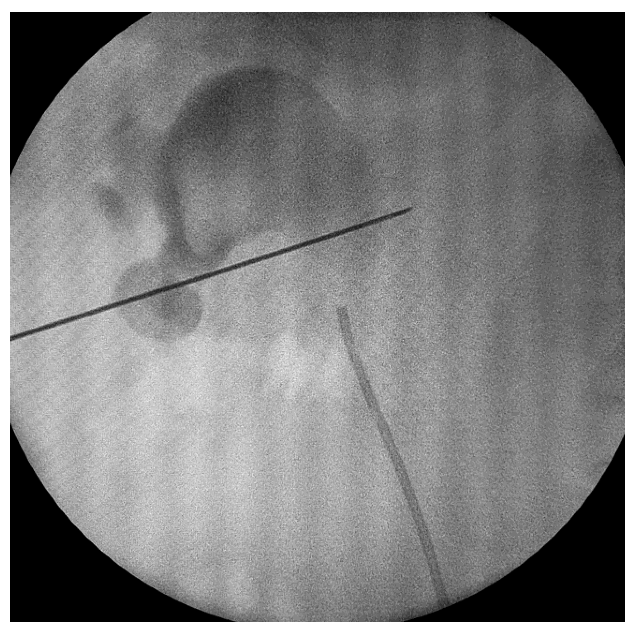 Diagnostics 13 01083 g001