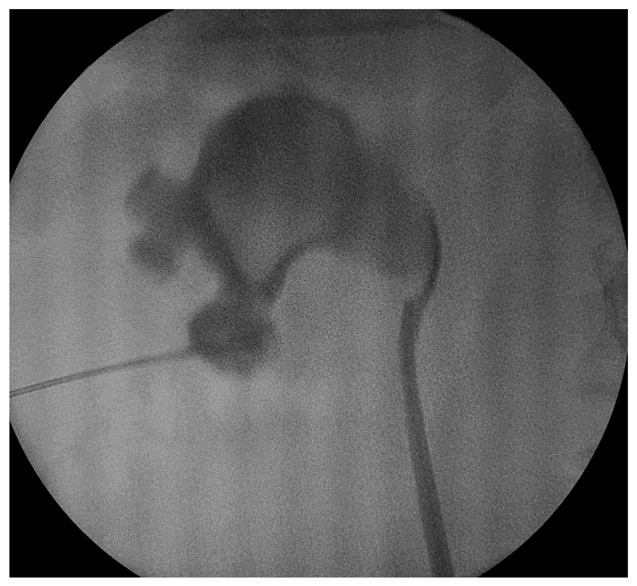 Diagnostics 13 01083 g002