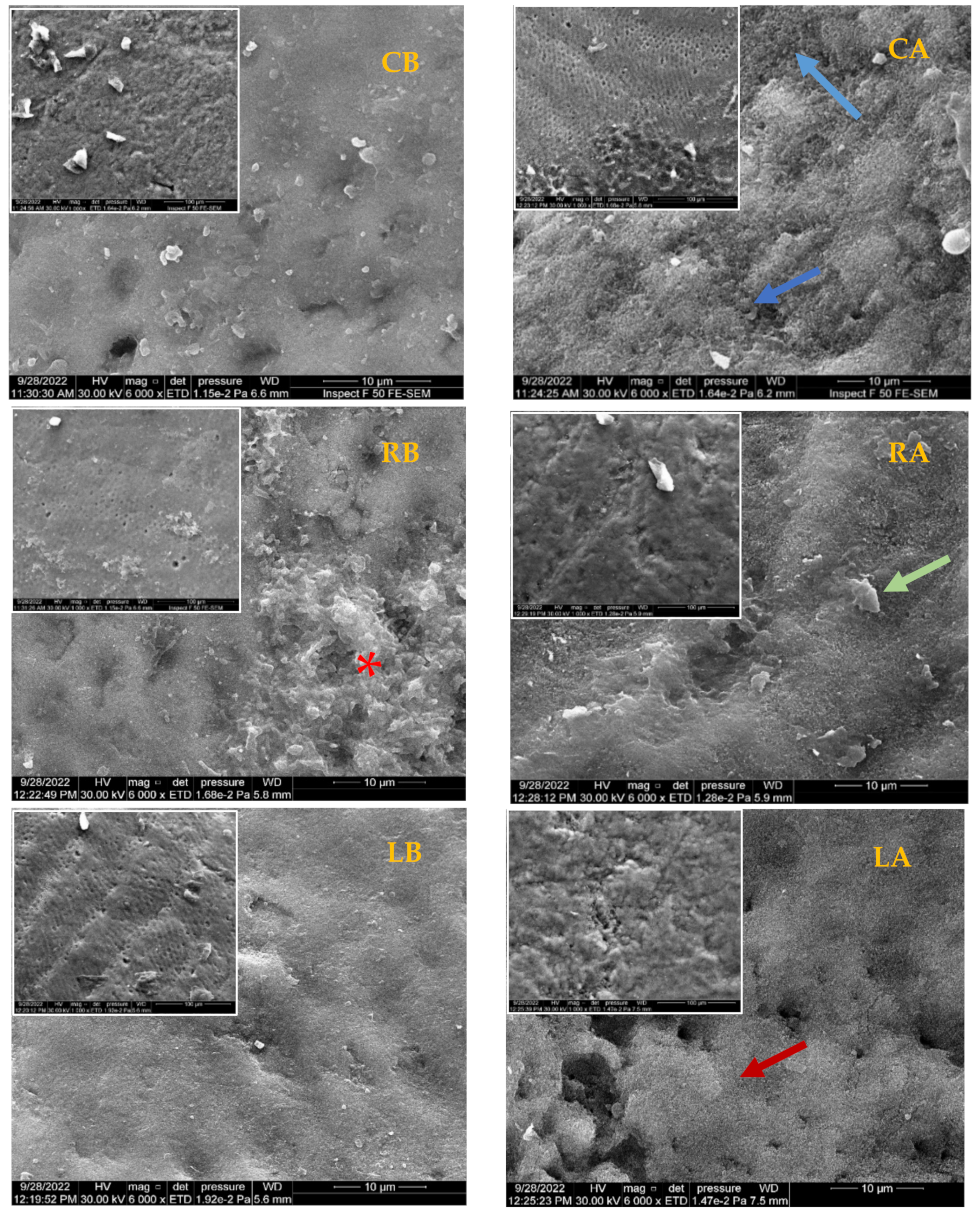 Diagnostics 13 01087 g005 Diagnostics 13 01087 g005