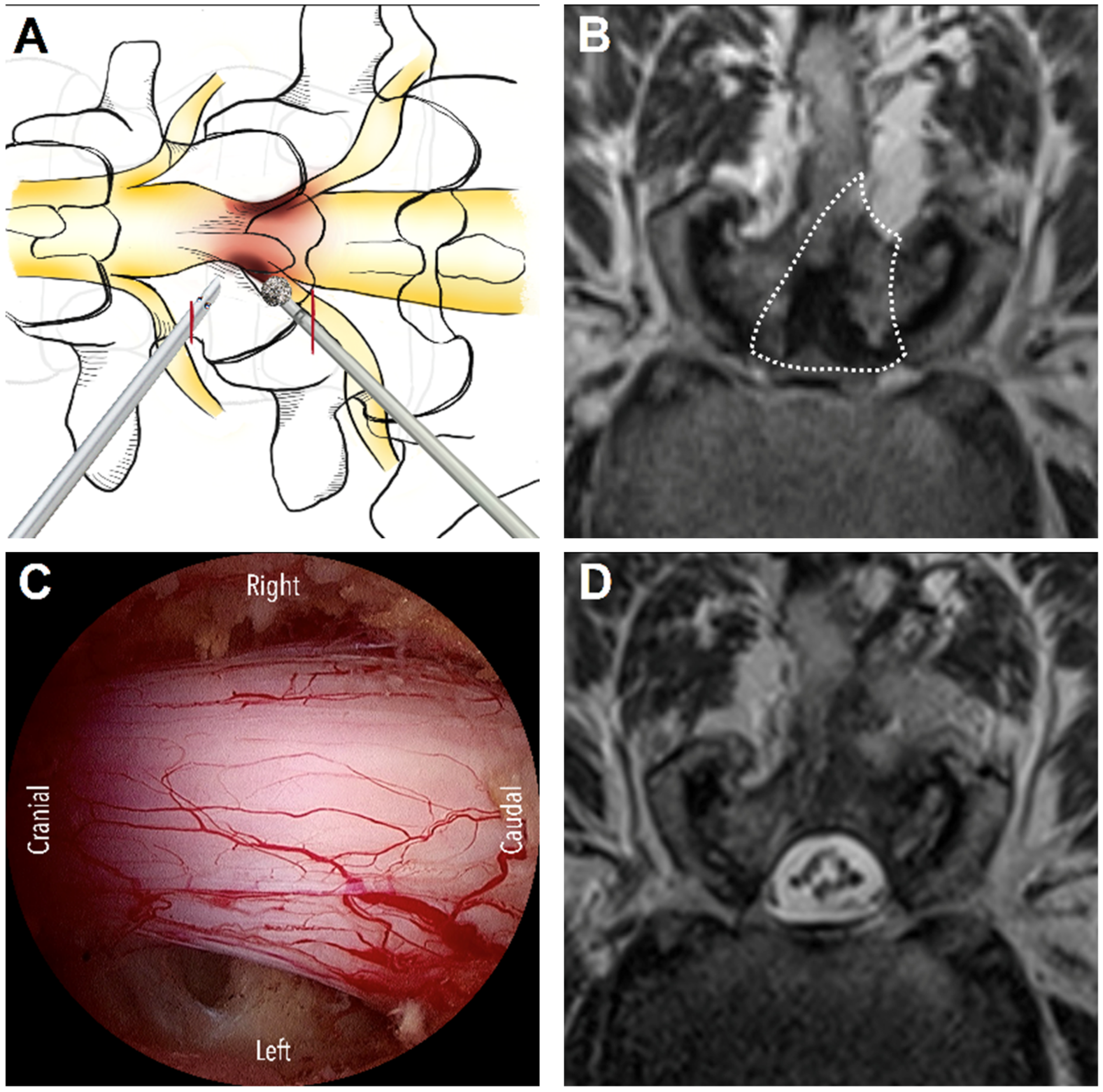Diagnostics 13 01092 g001