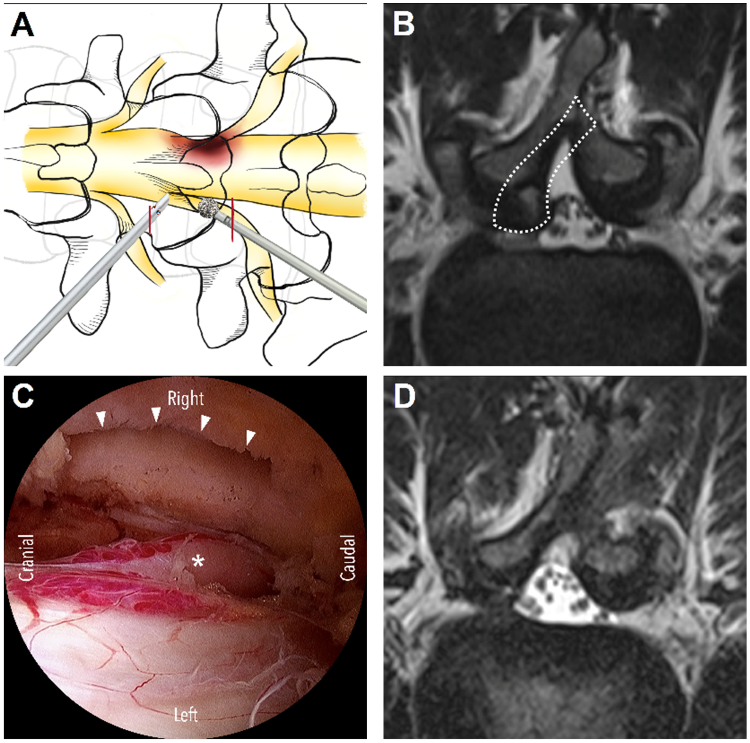 Diagnostics 13 01092 g002