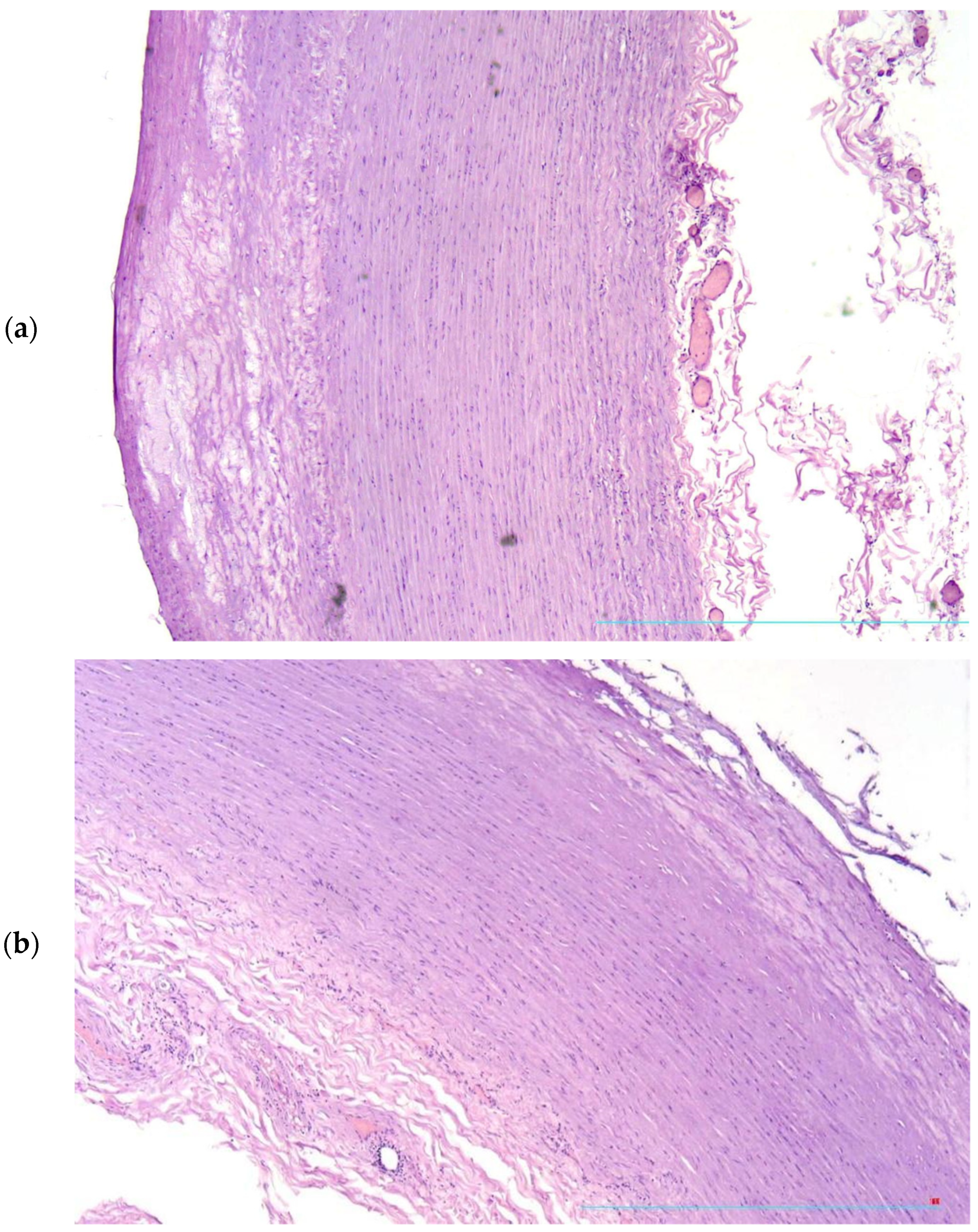 Diagnostics 13 01097 g001