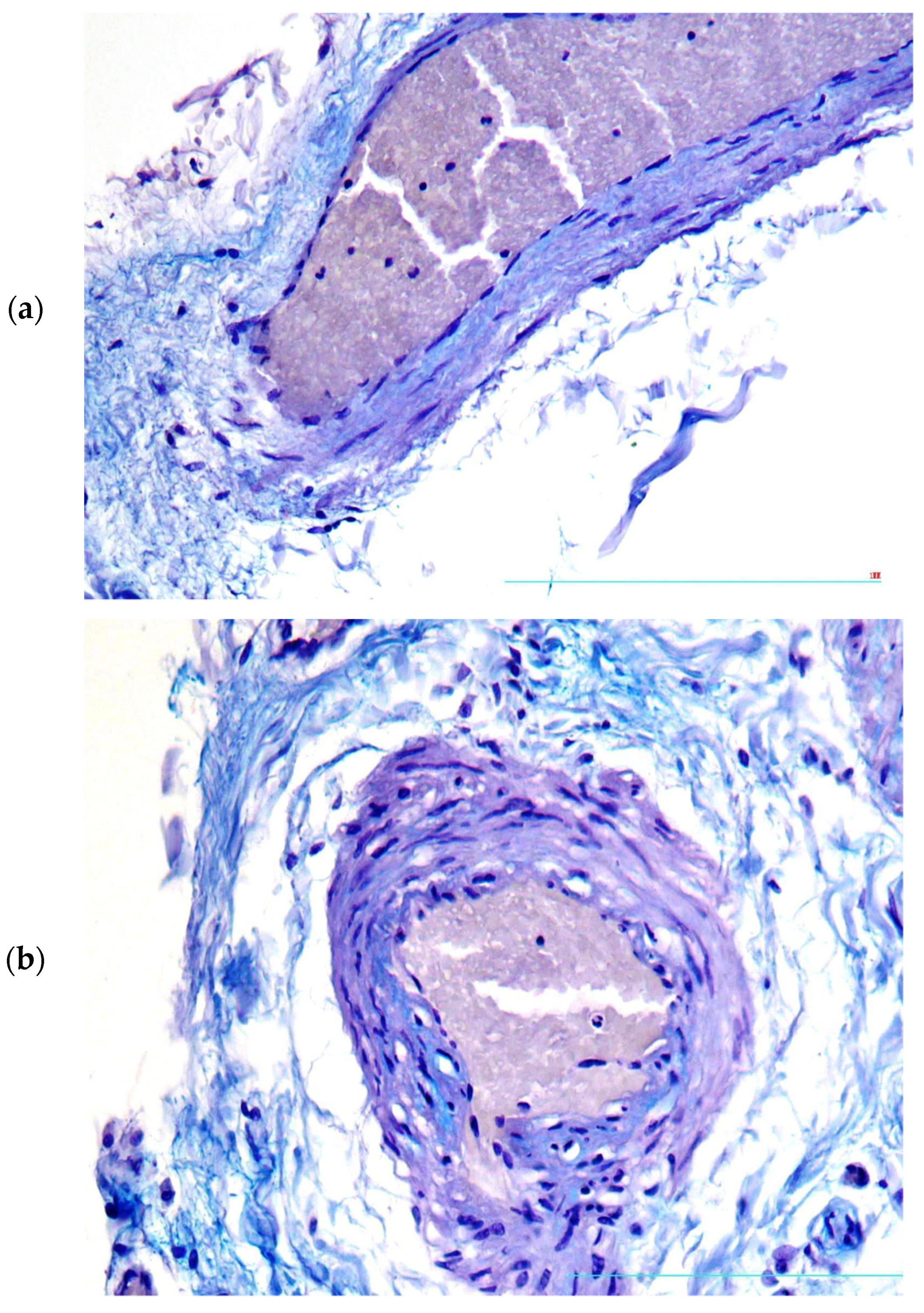 Diagnostics 13 01097 g002