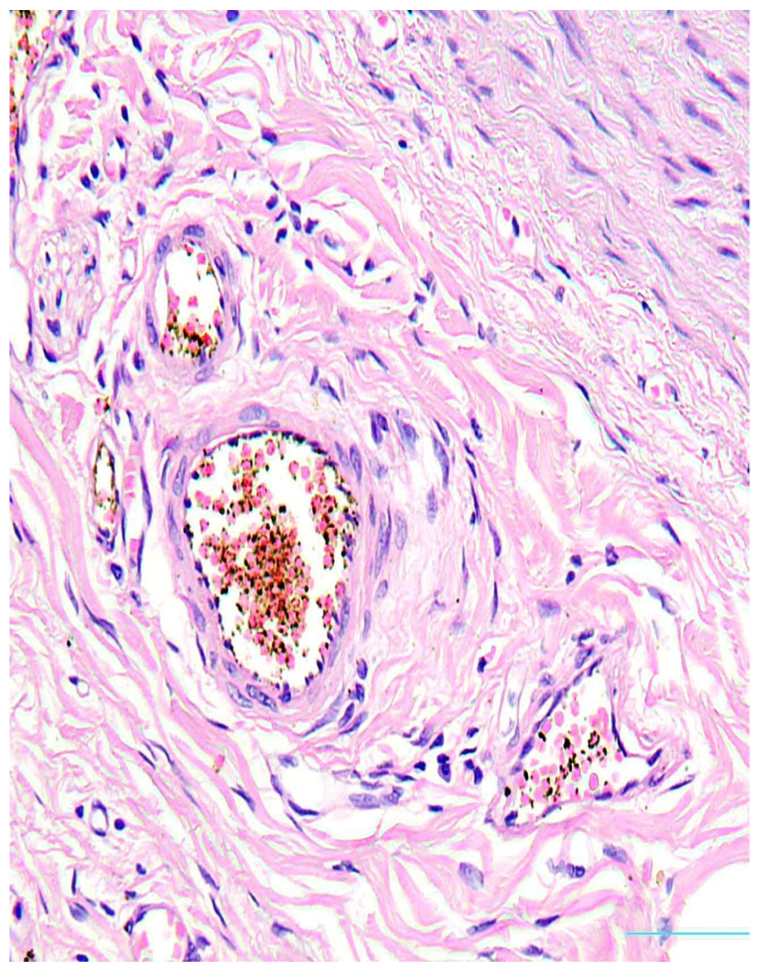 Diagnostics 13 01097 g003