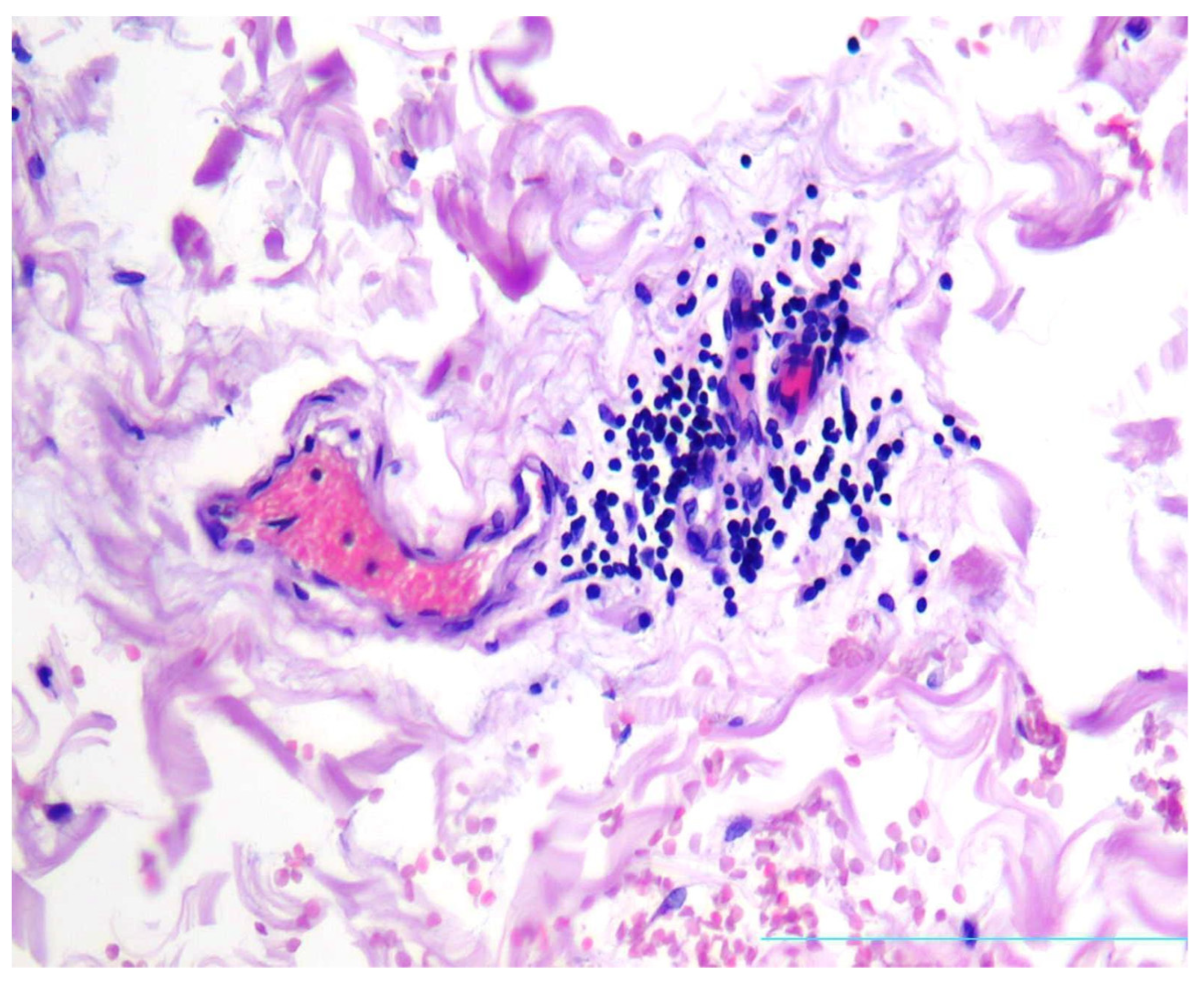 Diagnostics 13 01097 g005