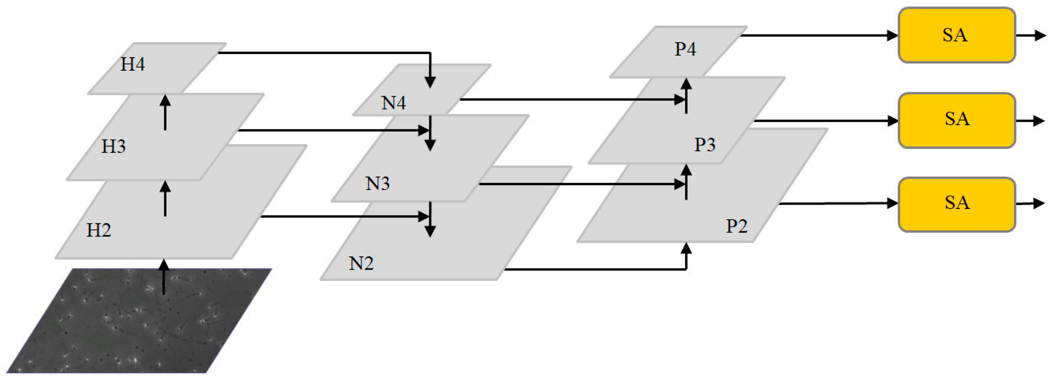 Diagnostics 13 01100 g003