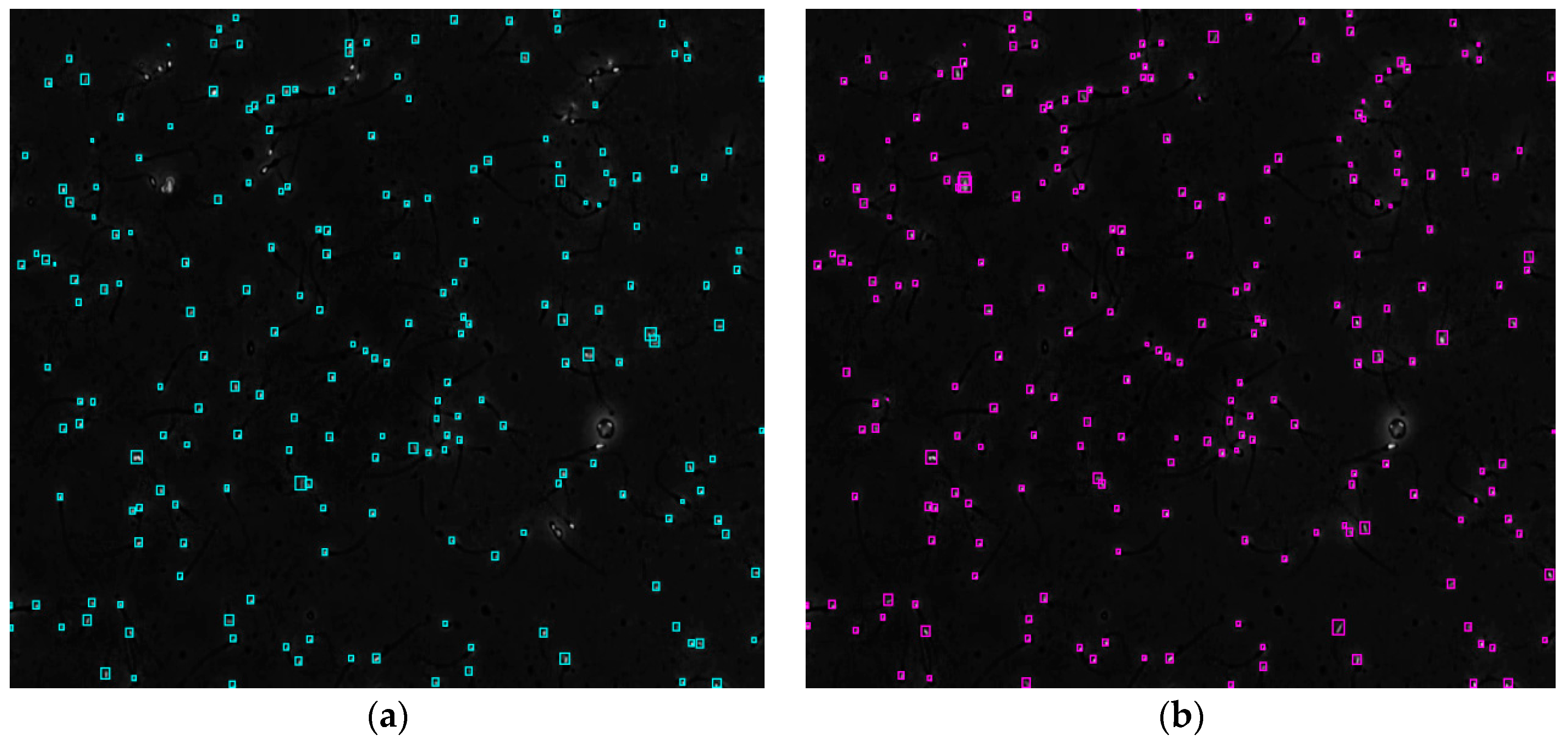 Diagnostics 13 01100 g004