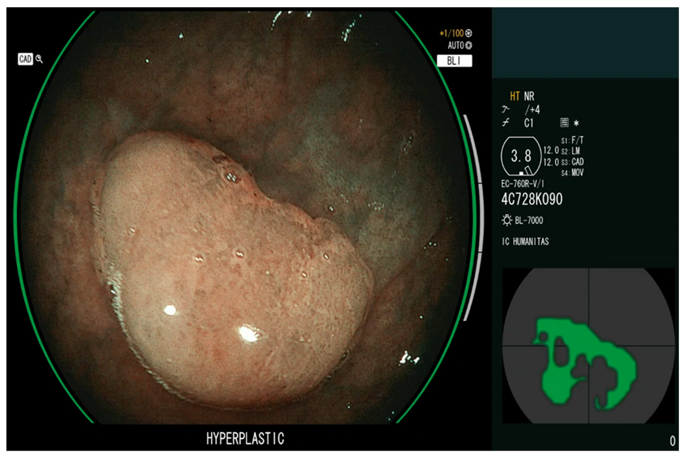 Diagnostics 13 01102 g003