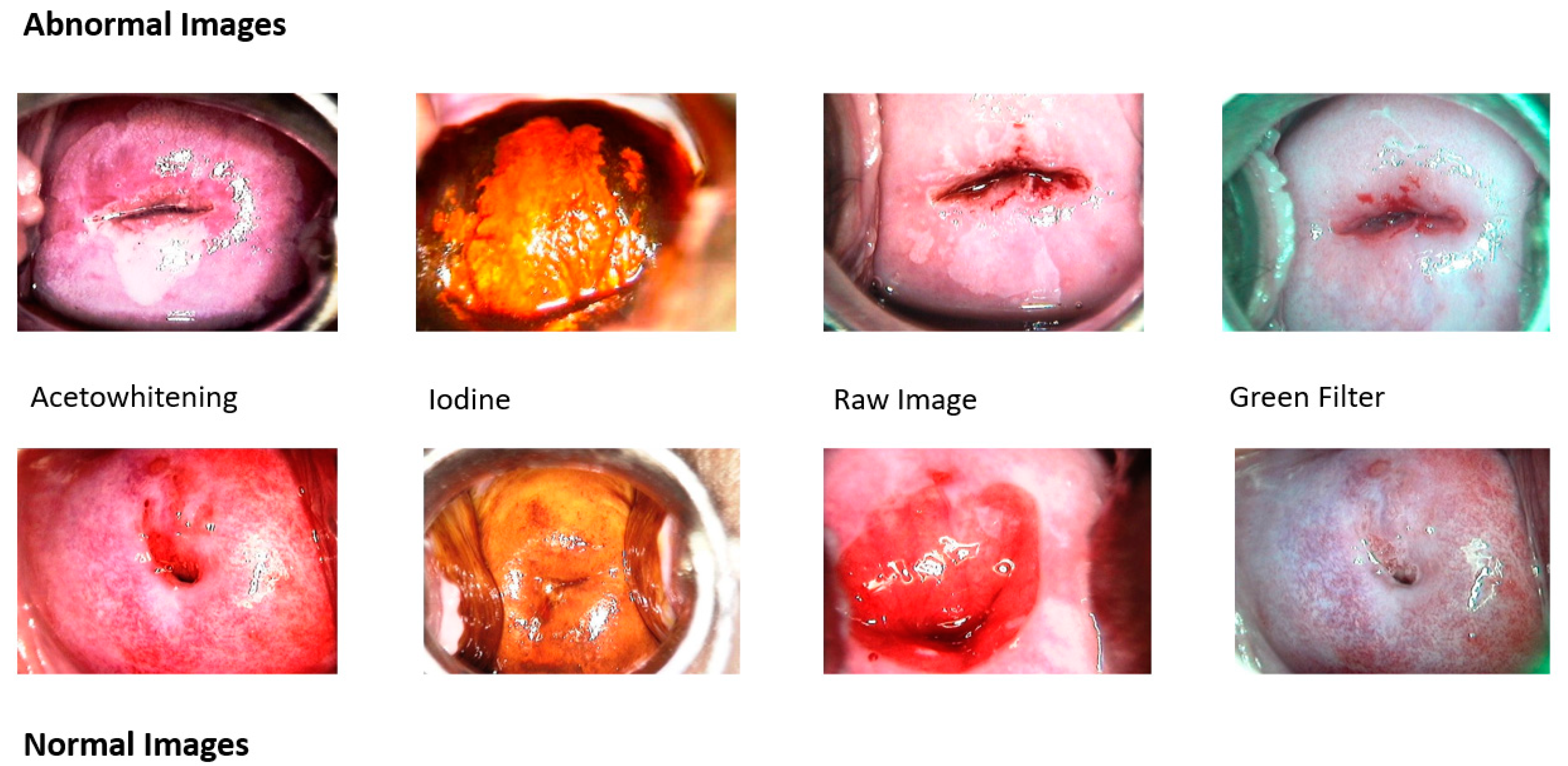 Diagnostics 13 01103 g002