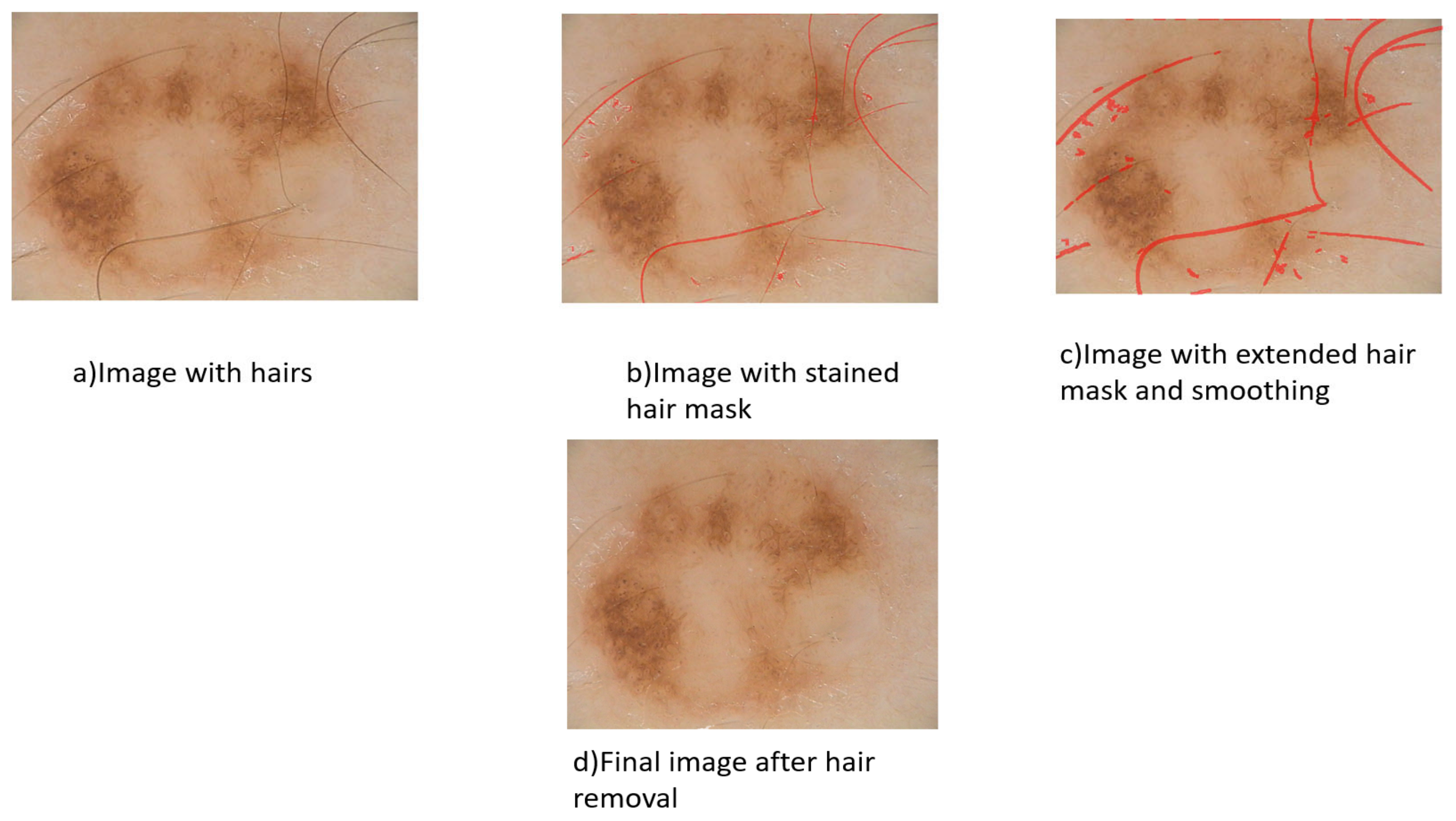 Diagnostics 13 01104 g003