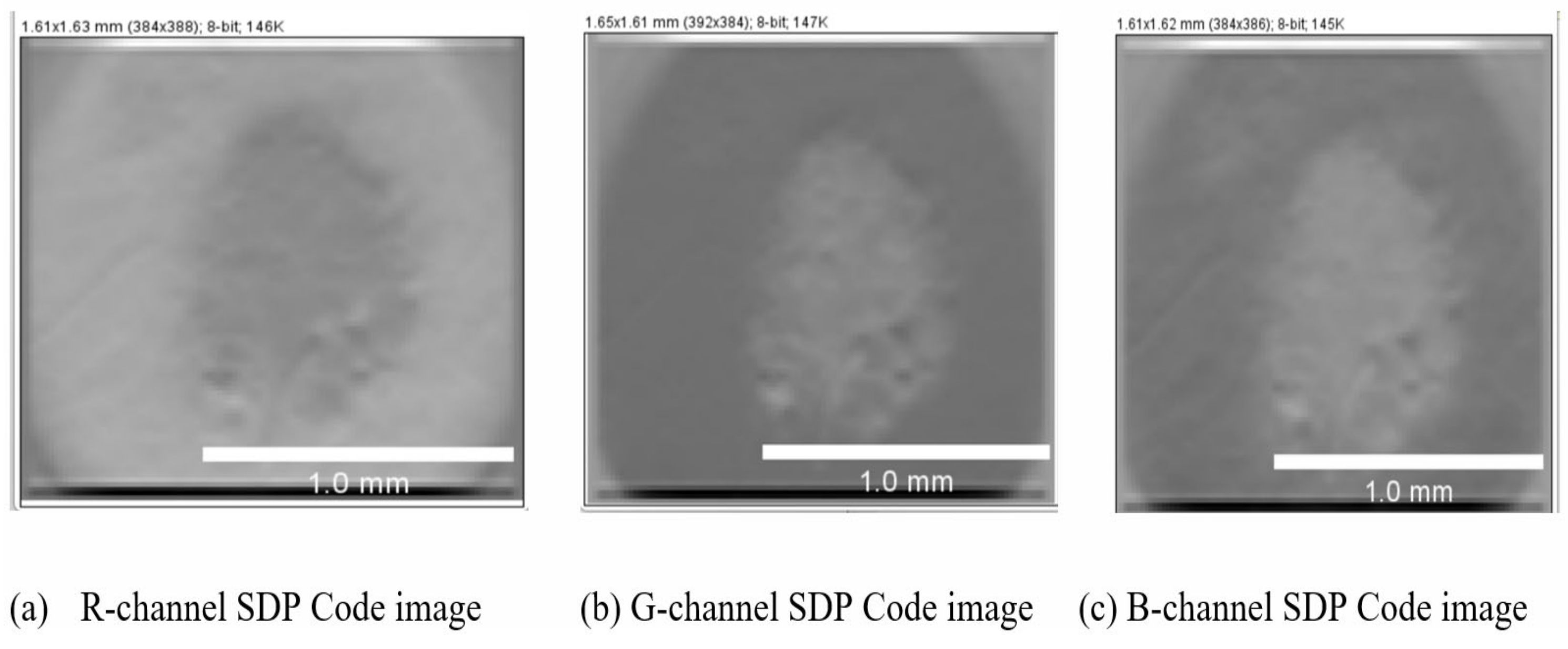 Diagnostics 13 01104 g008