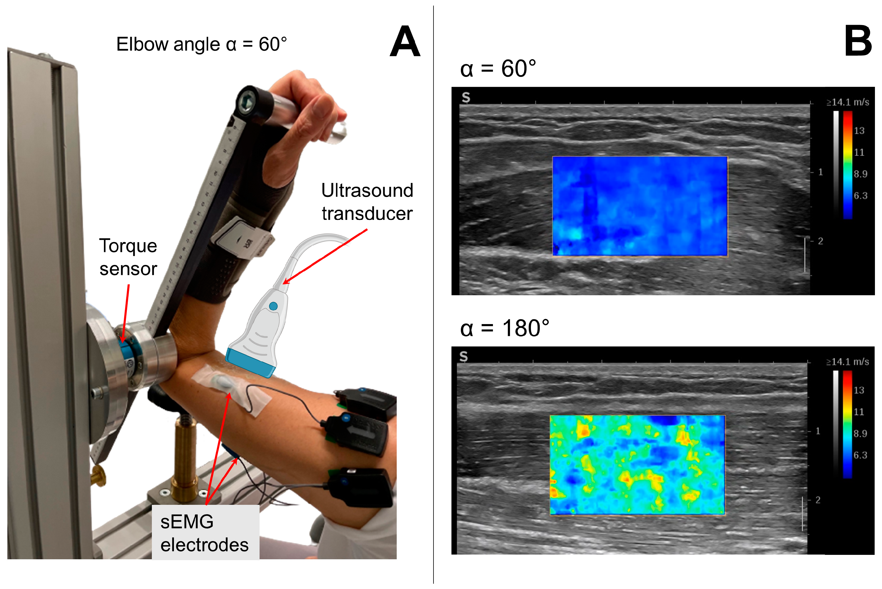 Diagnostics 13 01108 g001
