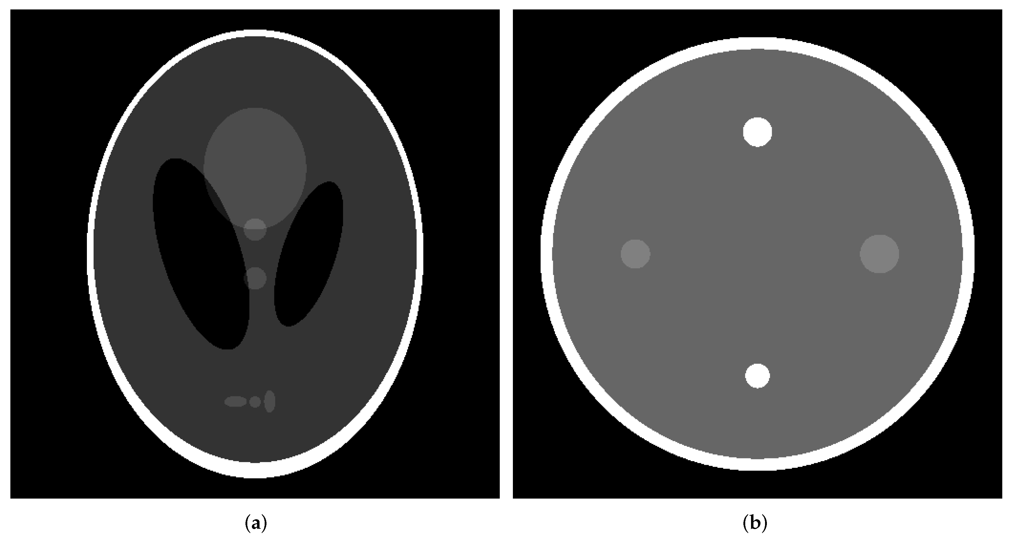 Diagnostics 13 01111 g001