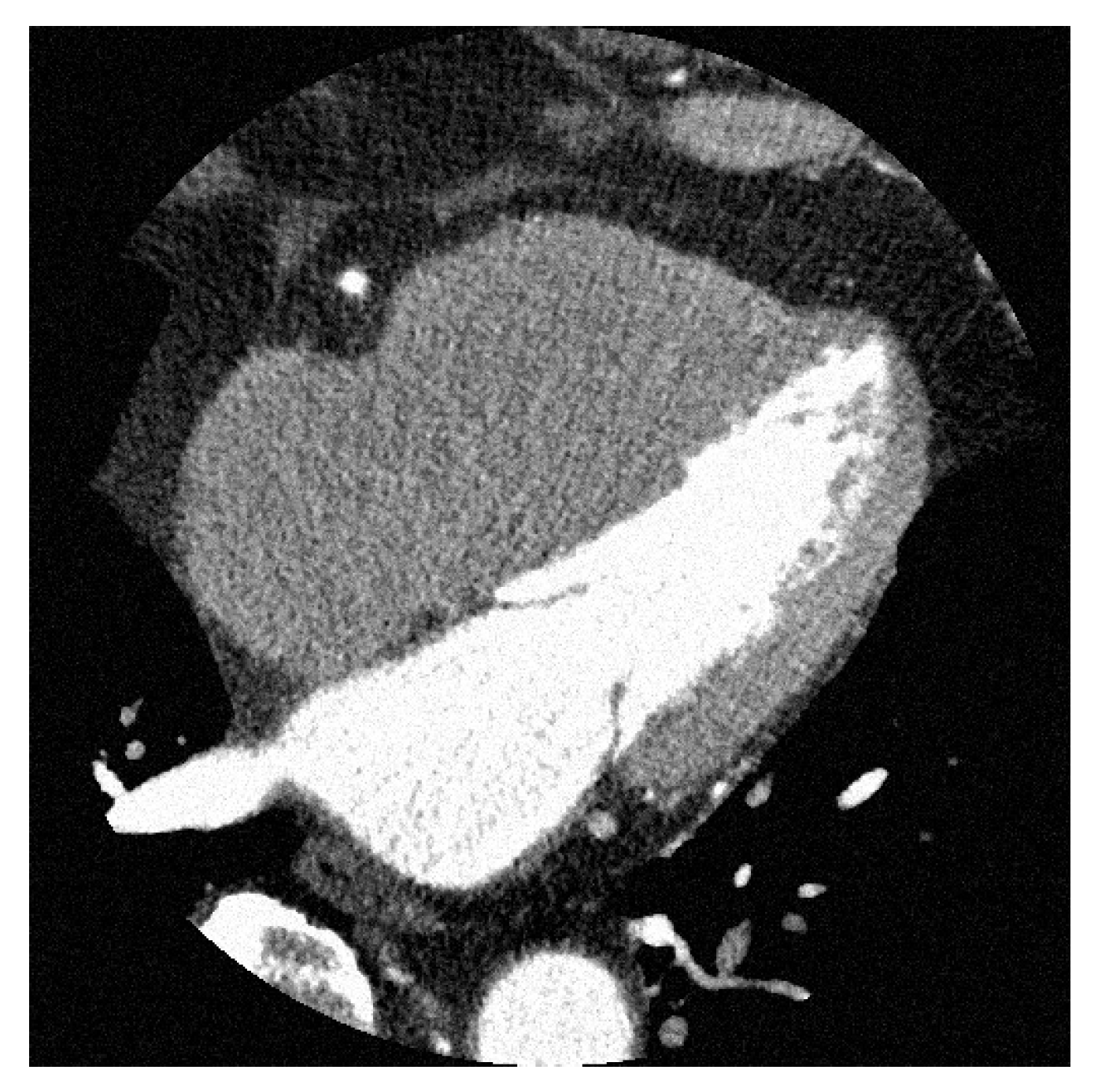 Diagnostics 13 01111 g010