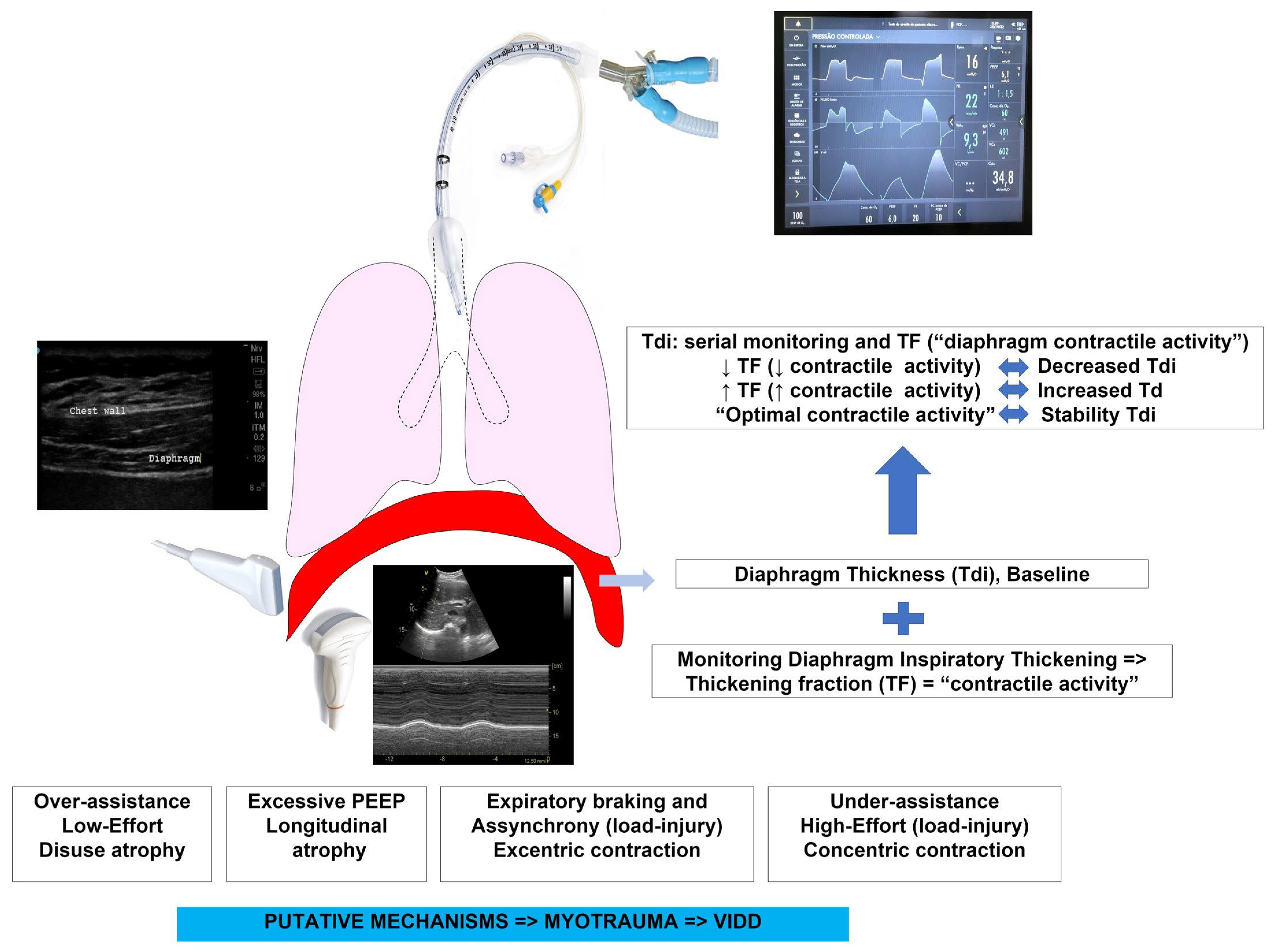 Diagnostics 13 01116 g001 Diagnostics 13 01116 g001