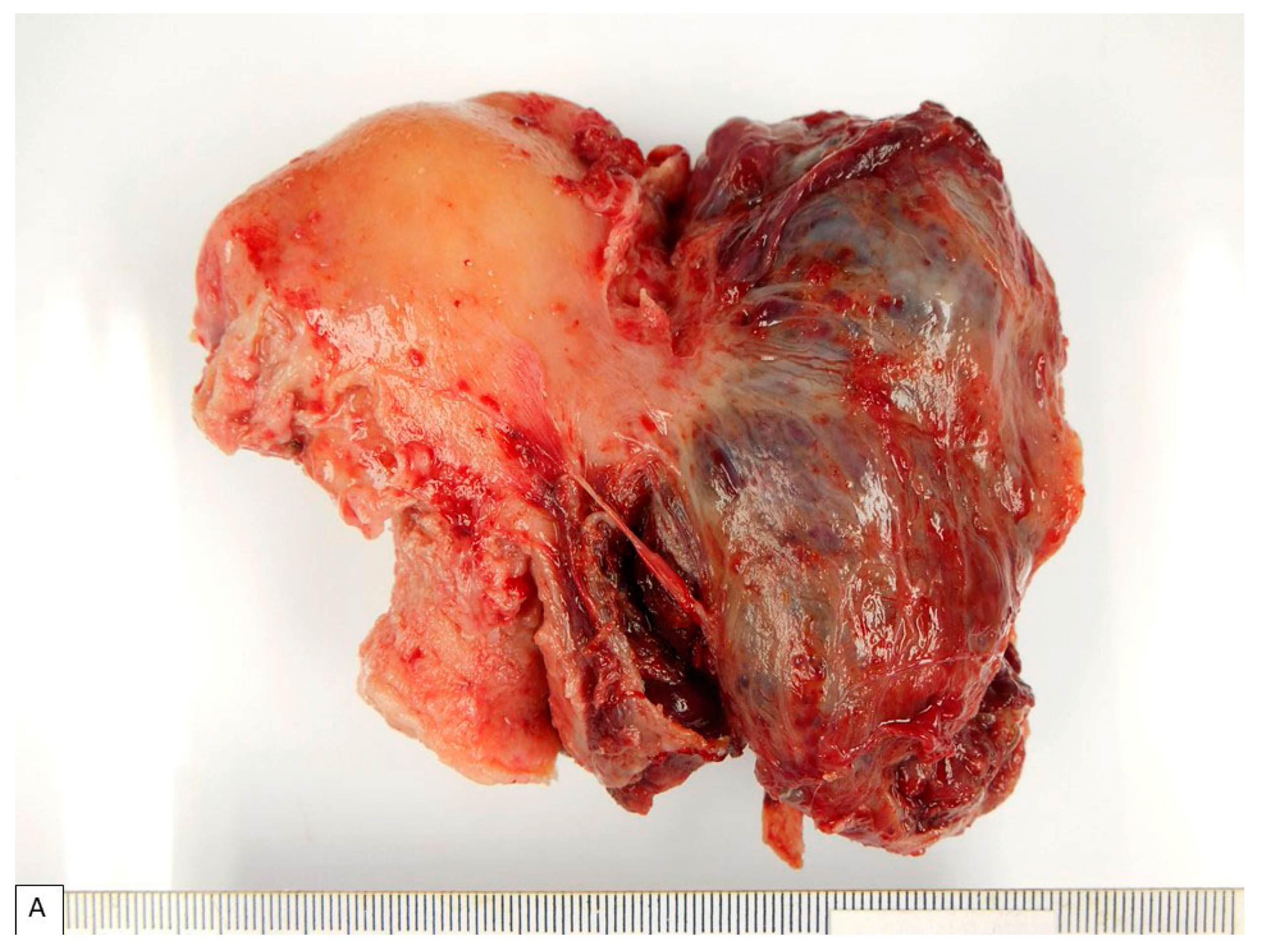 Diagnostics 13 01119 g001a