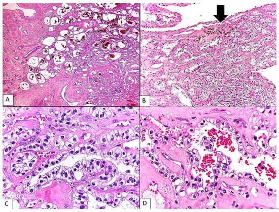 Diagnostics 13 01119 g002