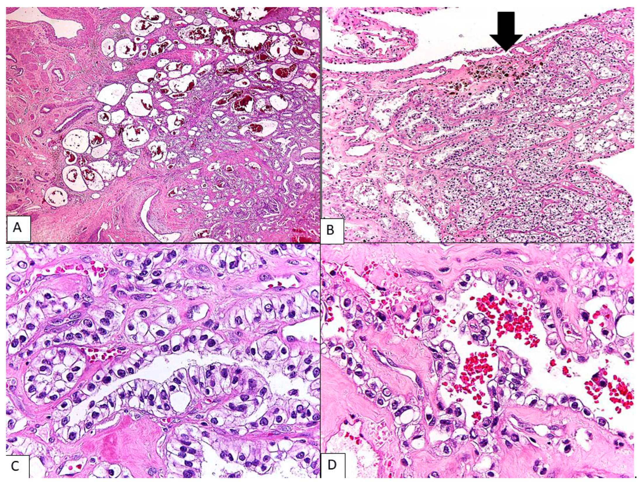 Diagnostics 13 01119 g002