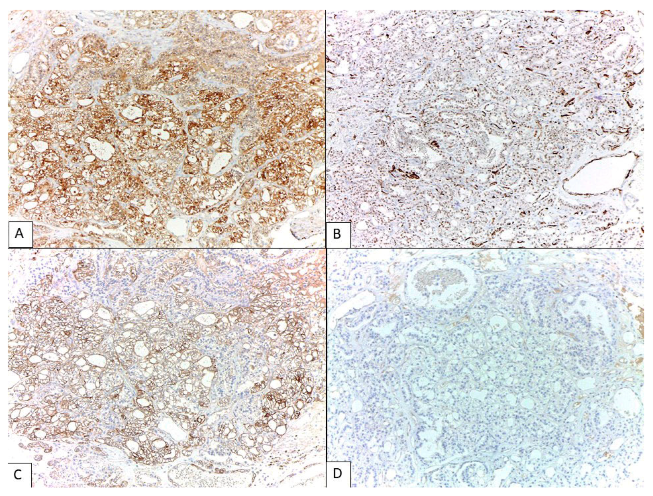 Diagnostics 13 01119 g003