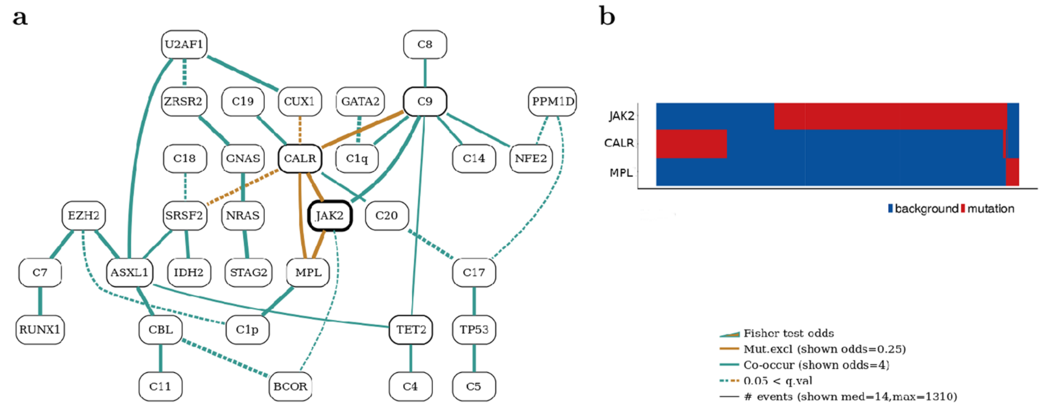 Diagnostics 13 01123 g003
