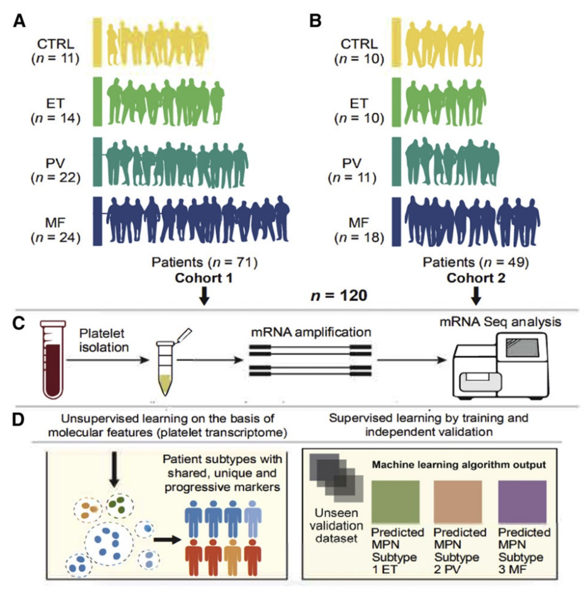 Diagnostics 13 01123 g004