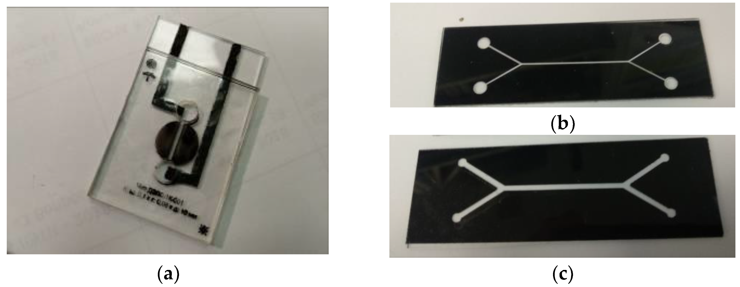 Diagnostics 13 01130 g004