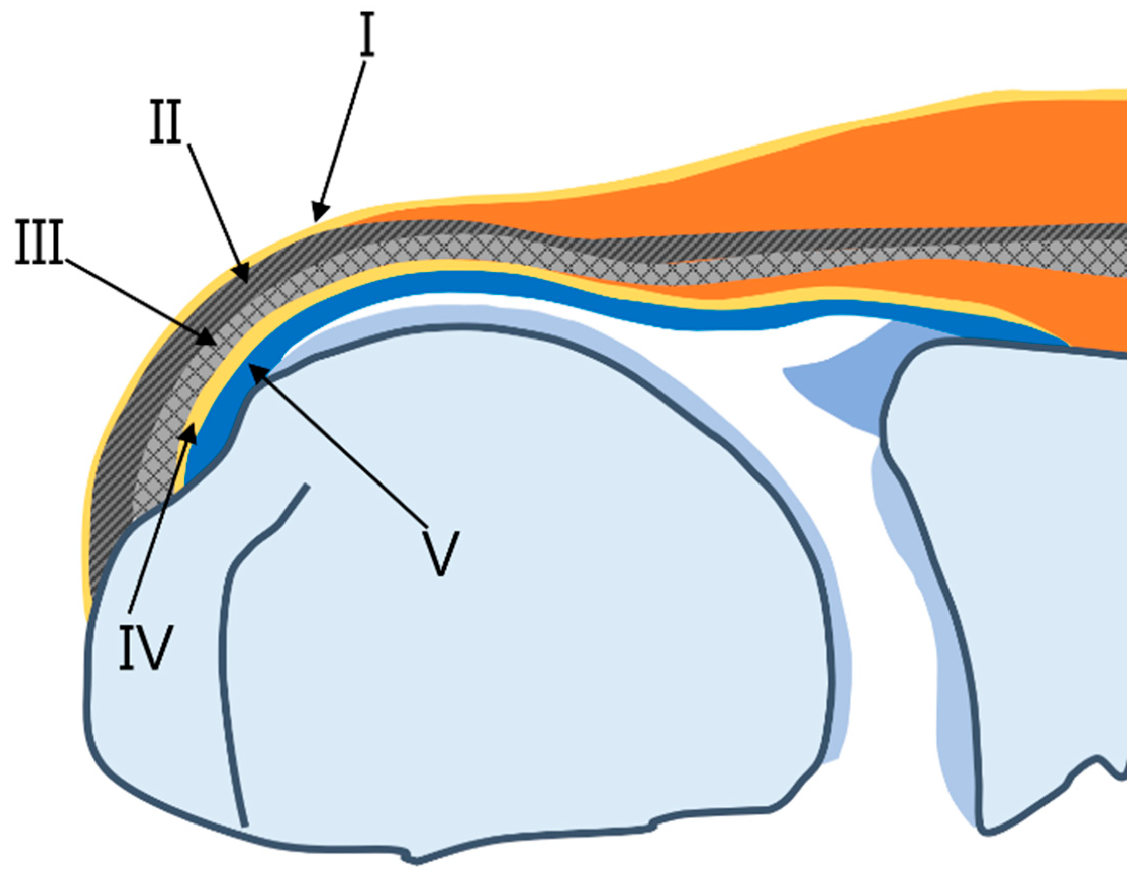 Diagnostics 13 01133 g001